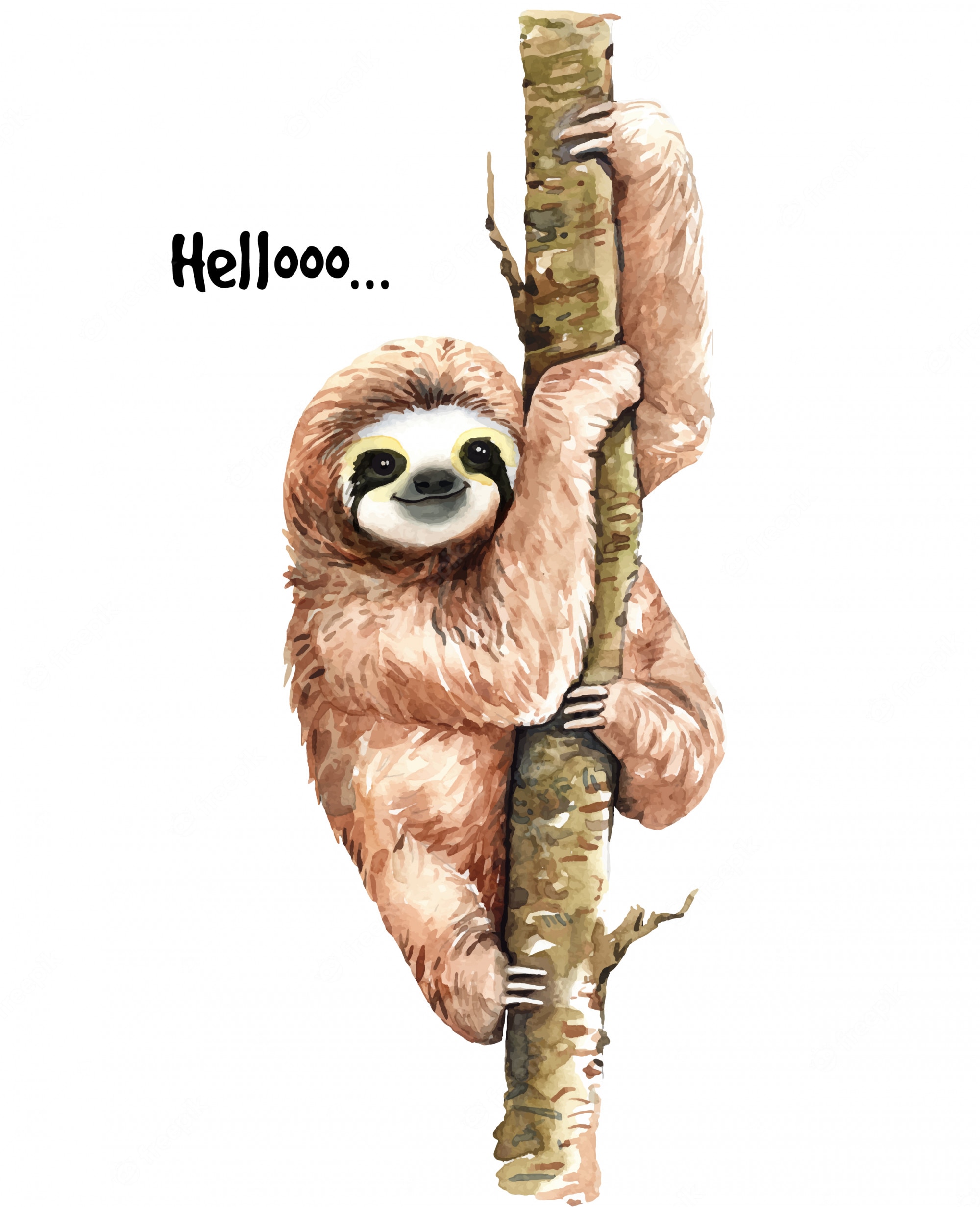 Sloth Pattern Image