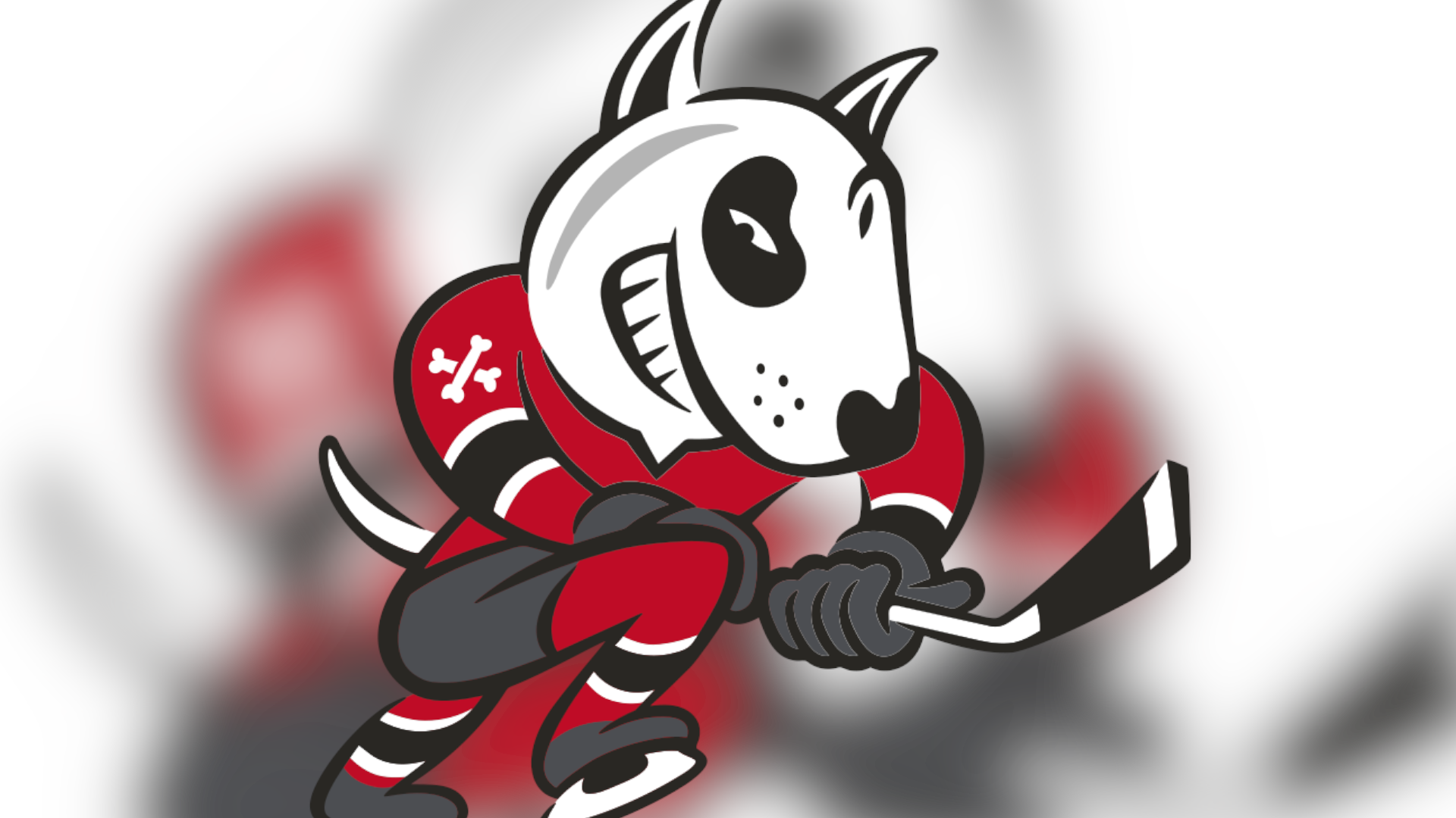 Niagara OHL owners suspended, fined for inappropriate language in online group chat