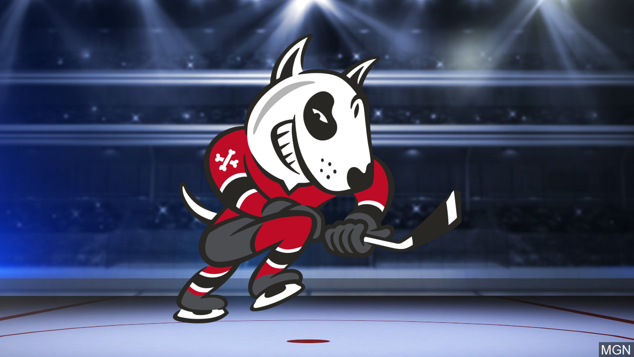 Niagara IceDogs' Forward Pano Fimis' Slow OHL Start Indicates Re Evaluation Of Potential