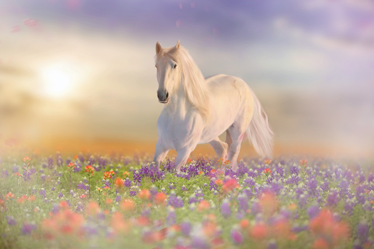 Horse Flowers Digital Backgrounds
