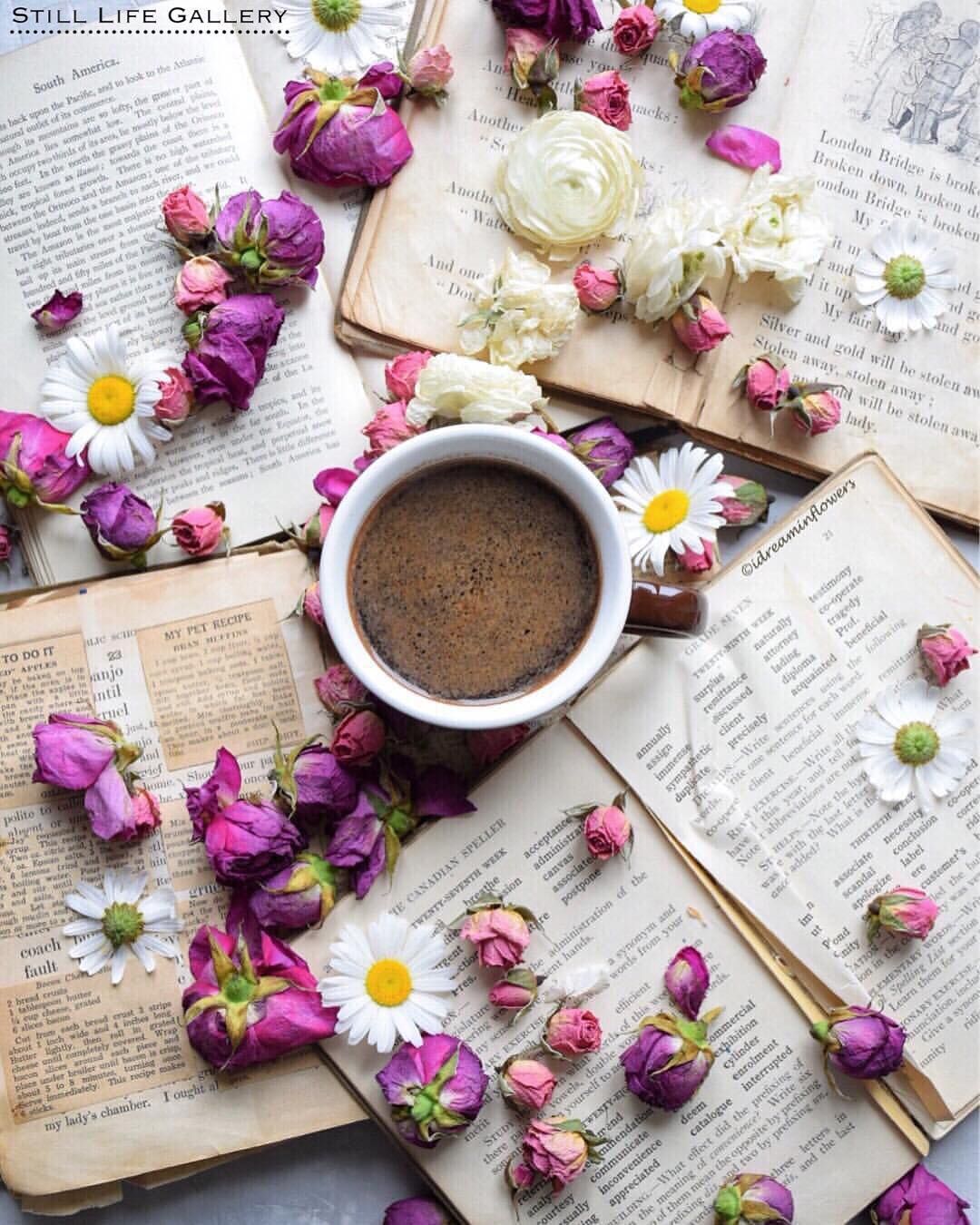 4,634 отметок «Нравится», 19 комментариев