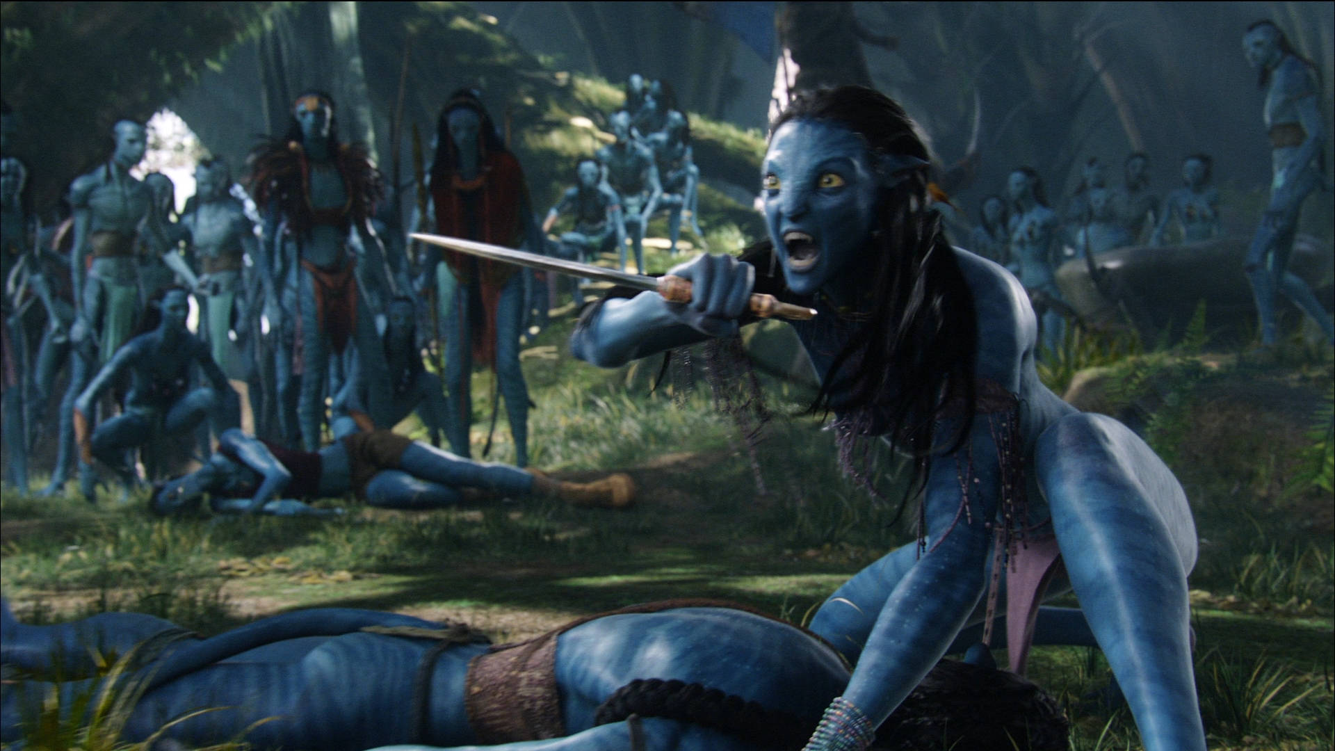 Download Avatar Neytiri Defends Jake Wallpapers