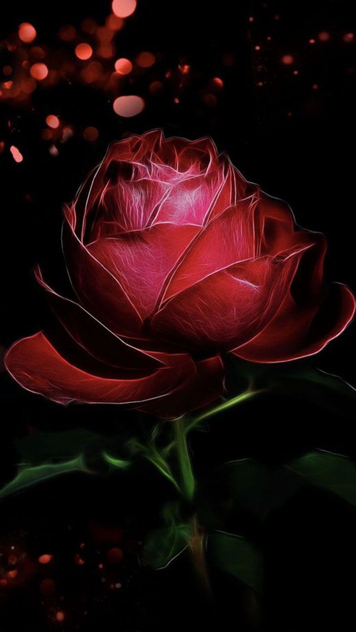 Red rose love, dark red and black wallpaper. #elegant #valentine. Red and black wallpaper, Dark background wallpaper, Red rose love