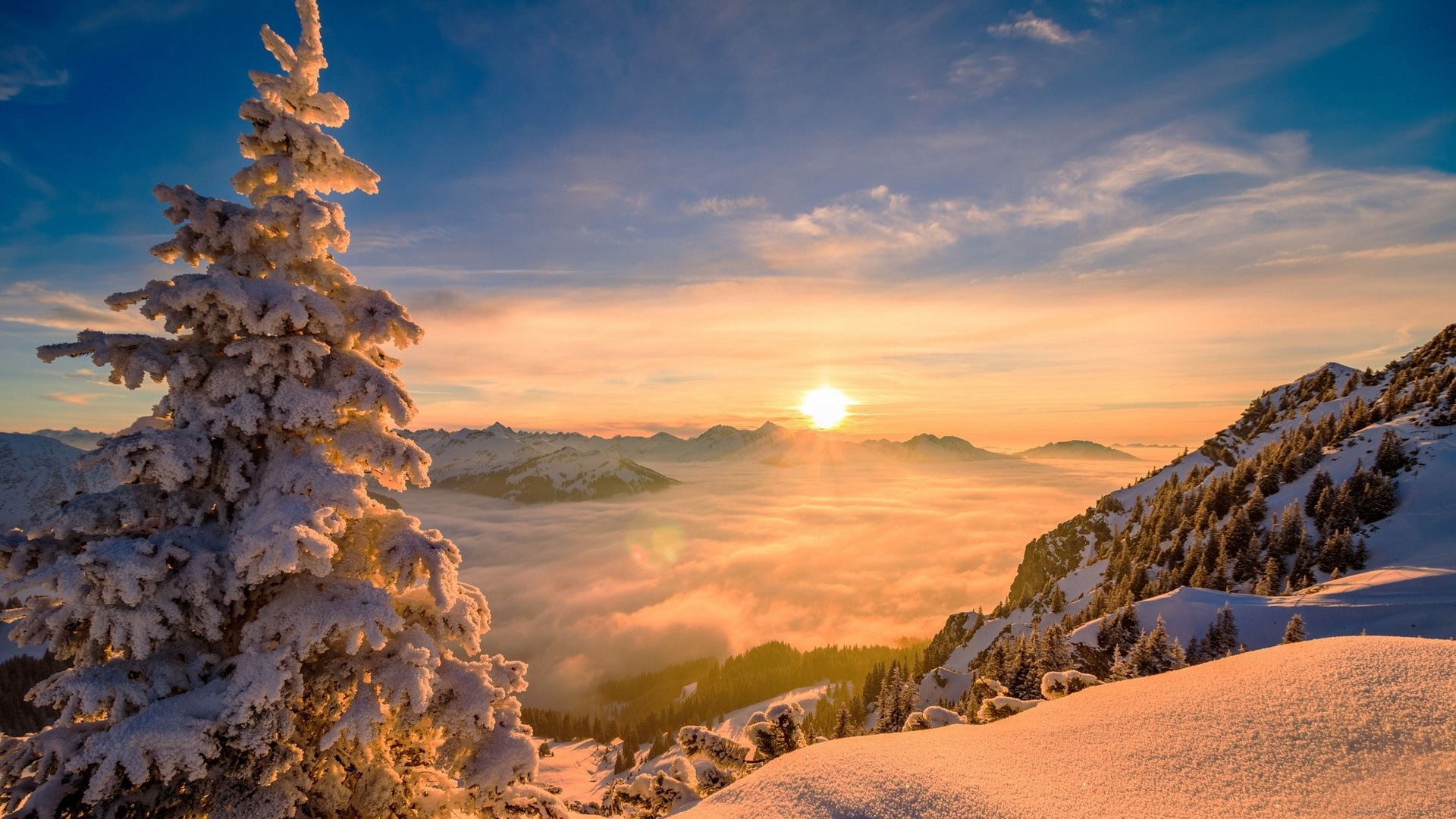 Wallpaper / nature, Sun, winter, pine trees, trees, snow, mountains, mist, sunrise free download