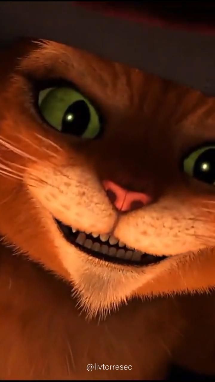 LIVE WALLPAPERS. CAT. EL GATO CON BOTAS. WALLPAPERS. Gato de sherk, Gato con botas, Fotos de deadpool