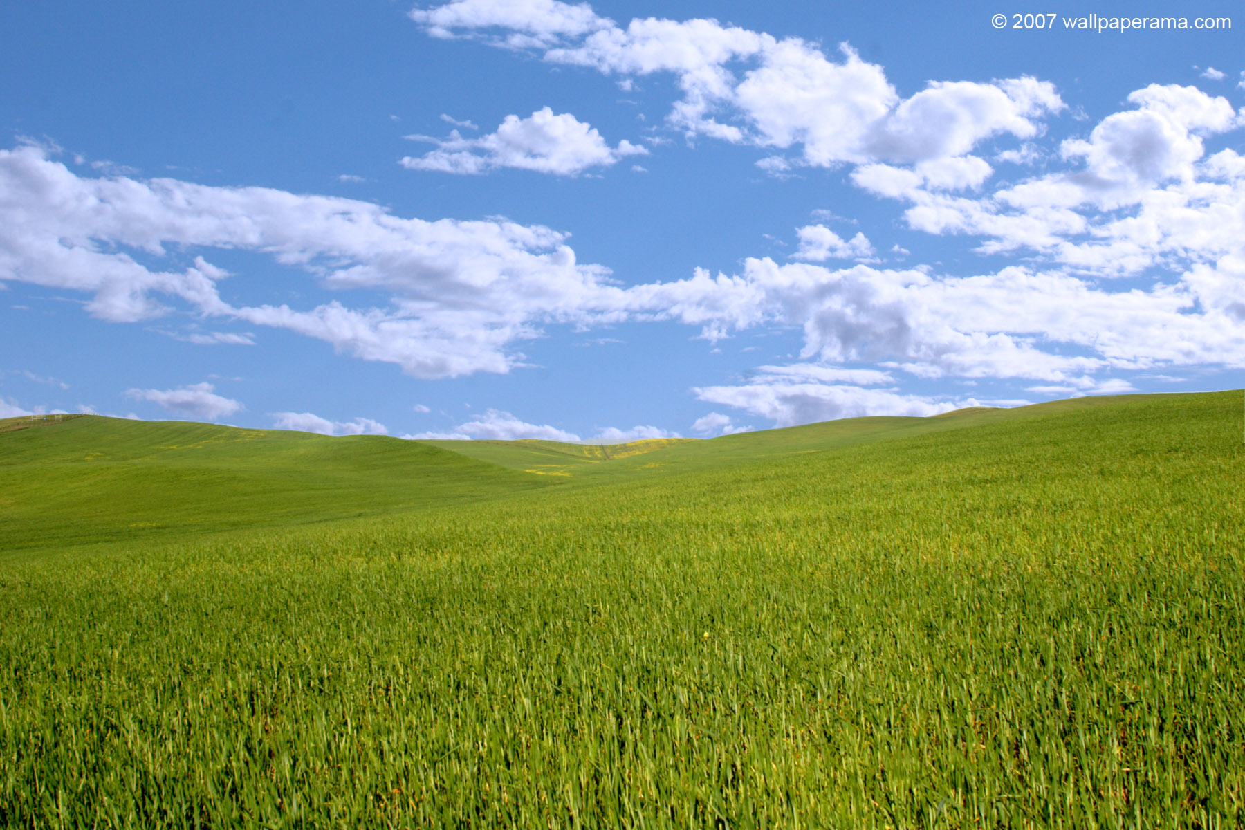 Фото из windows xp