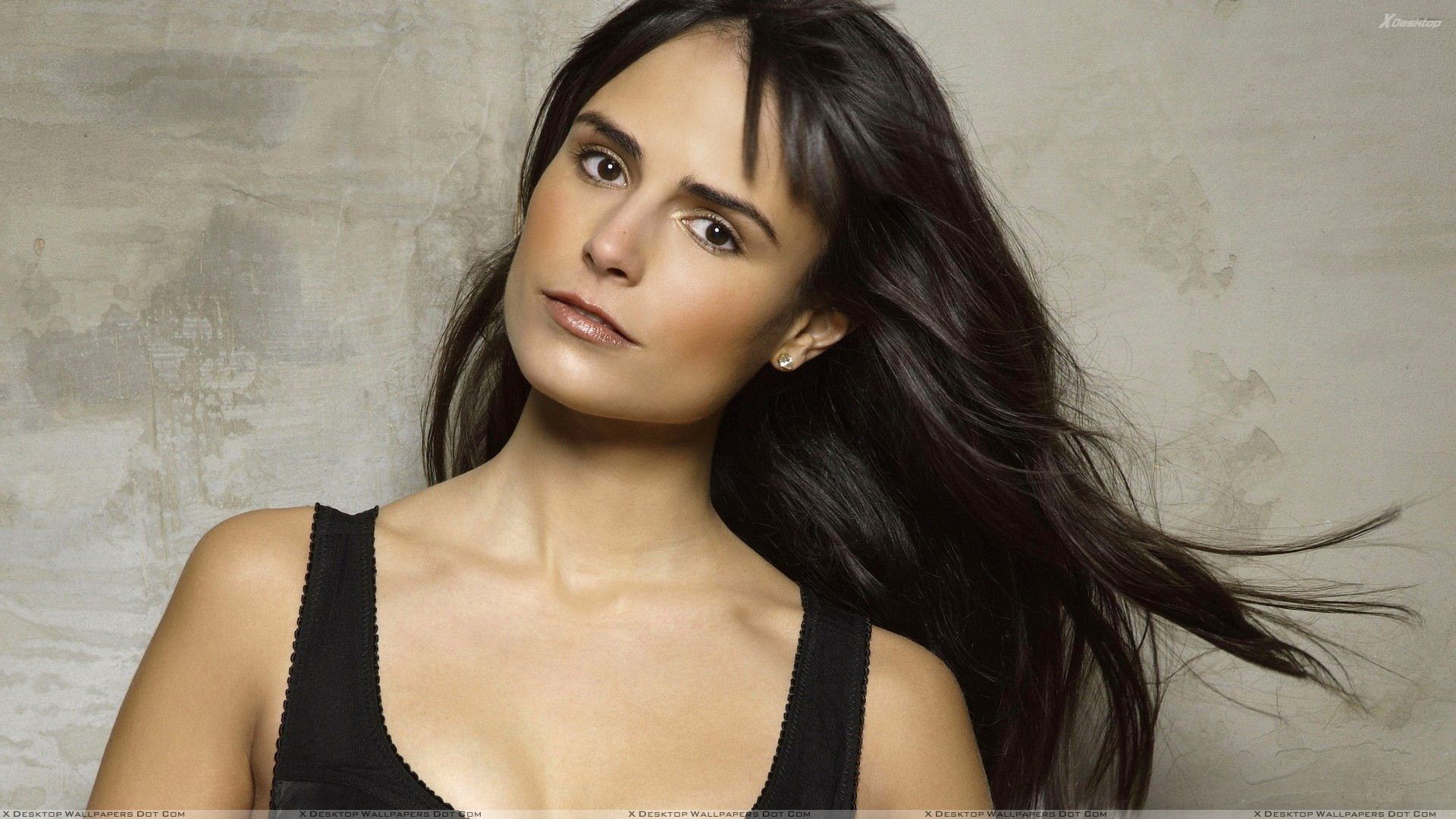 Jordana Brewster Wallpaper, Photo & Image in HD