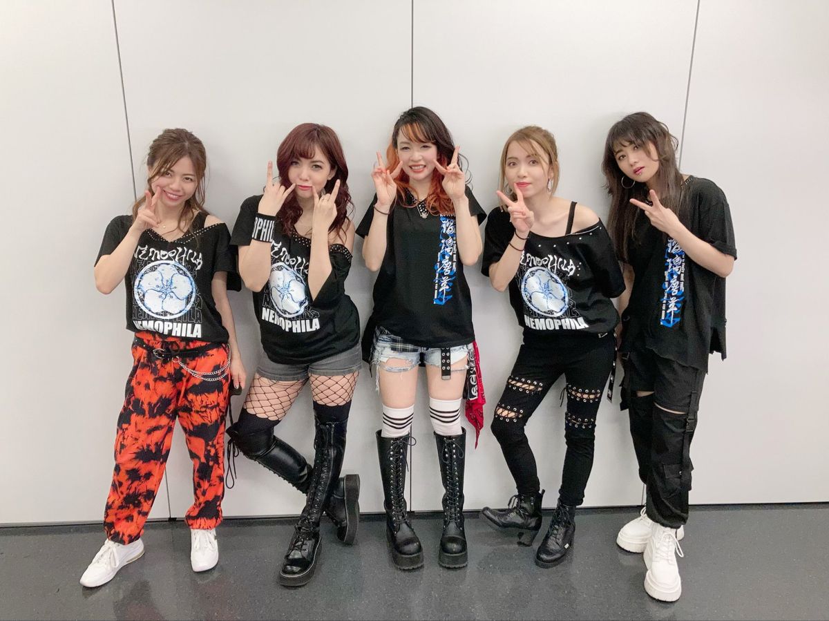 NEMOPHILA. ハードロック, ネモフィラ, バンド