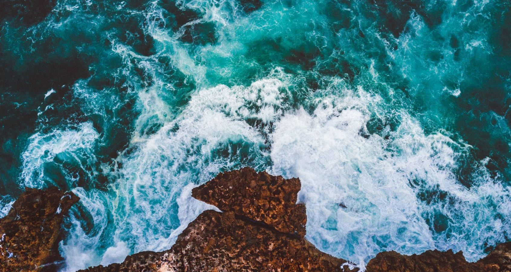 New Findings Suggest That Oceans Can Be Restored By 2050