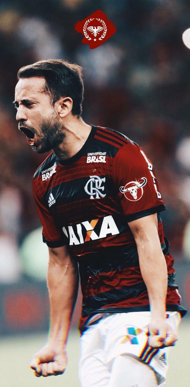 Everton Ribeiro Wallpapers Wallpaper Cave