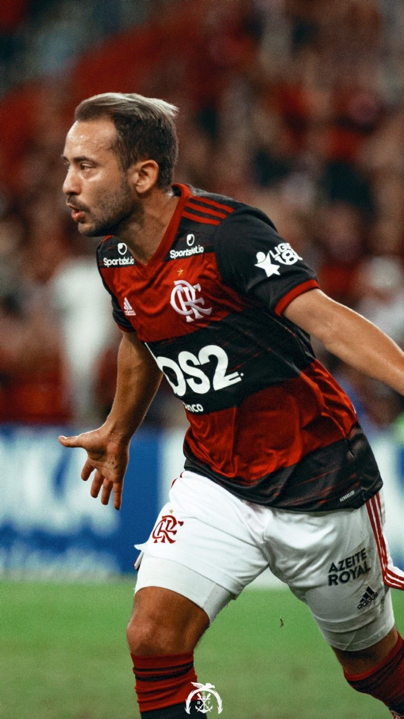 Everton Ribeiro Wallpapers Wallpaper Cave