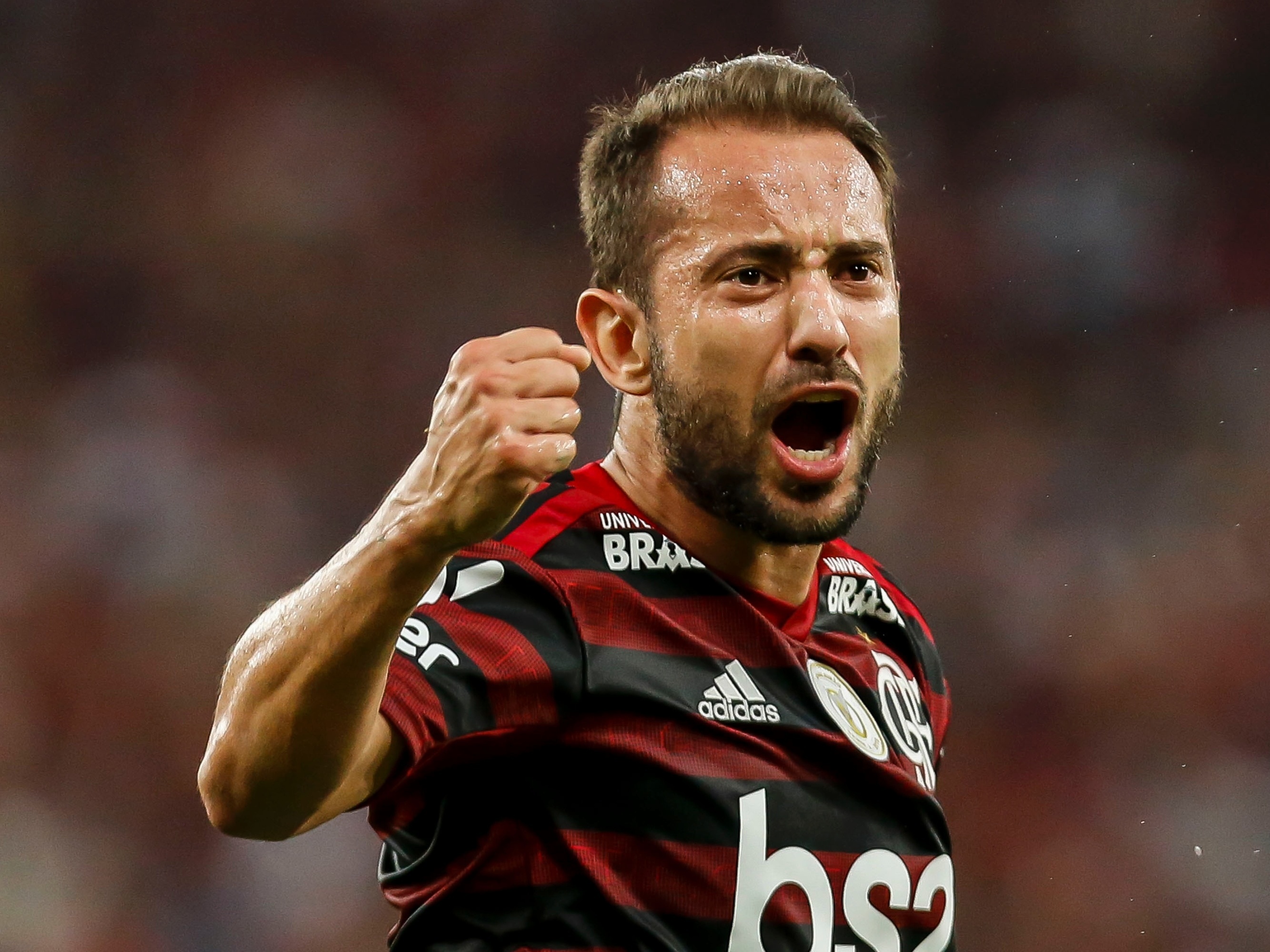 Everton Ribeiro Wallpapers Wallpaper Cave
