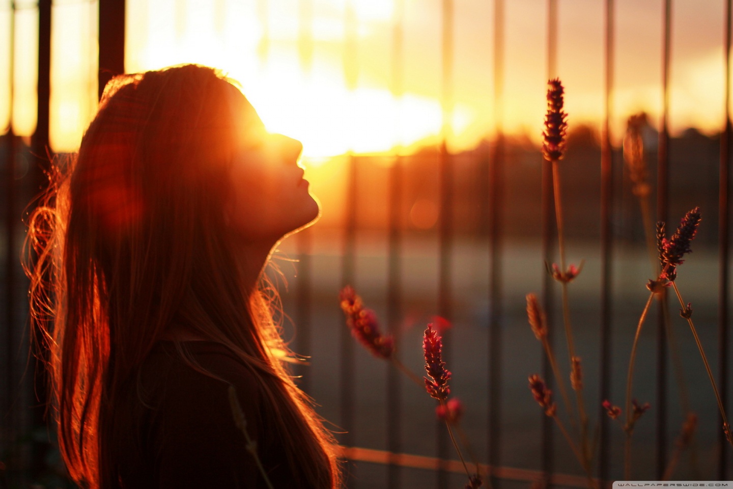 Girl In Mood Ultra HD Desktop Background Wallpaper for 4K UHD TV, Tablet