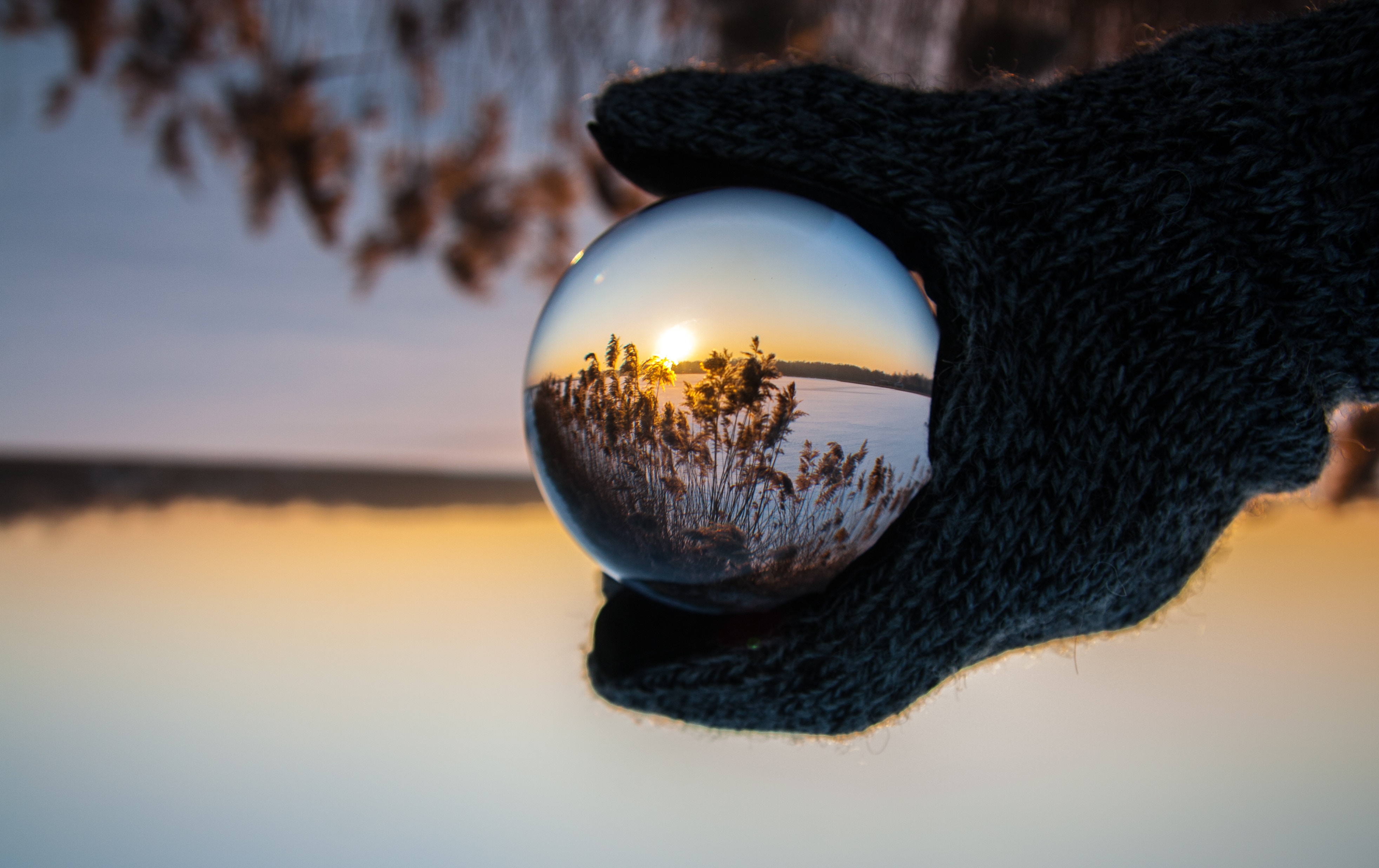 3929x2473 reed, cold, sunrise, mirror, evening, globe, Free image, sky, ball, riverbank, tree, hand, winter, morning, sunset, sun, holding, gloved, river, snow, glass Gallery HD Wallpaper
