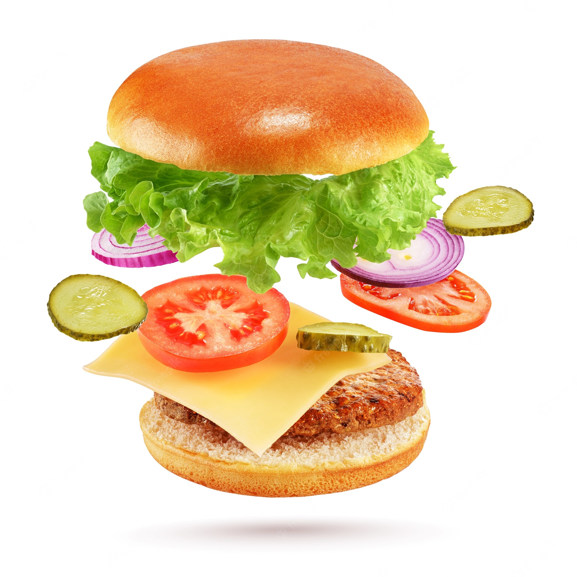 Burger Patty Image