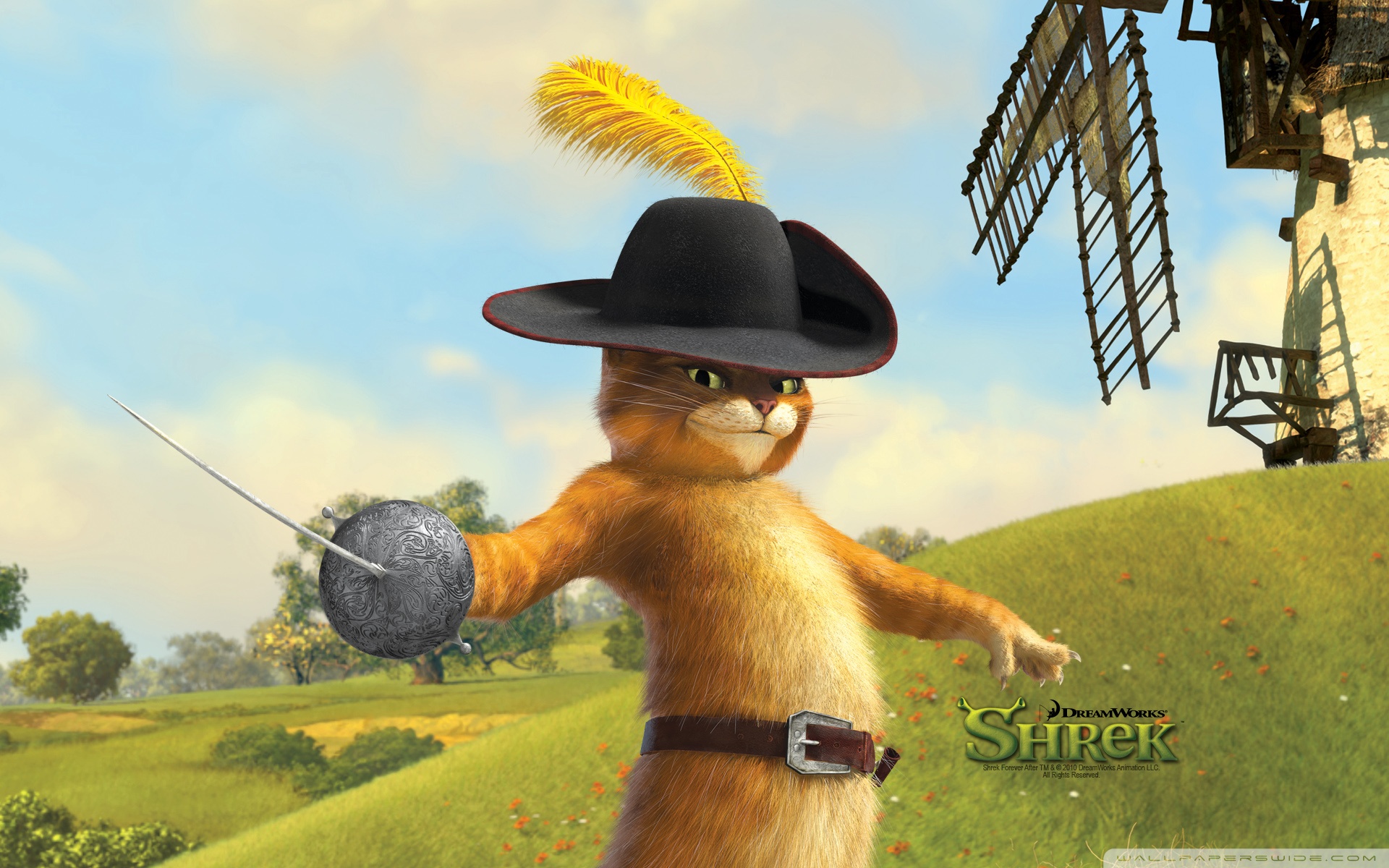 Puss in Boots, Shrek The Final Chapter Ultra HD Desktop Background Wallpaper for 4K UHD TV, Widescreen & UltraWide Desktop & Laptop, Tablet