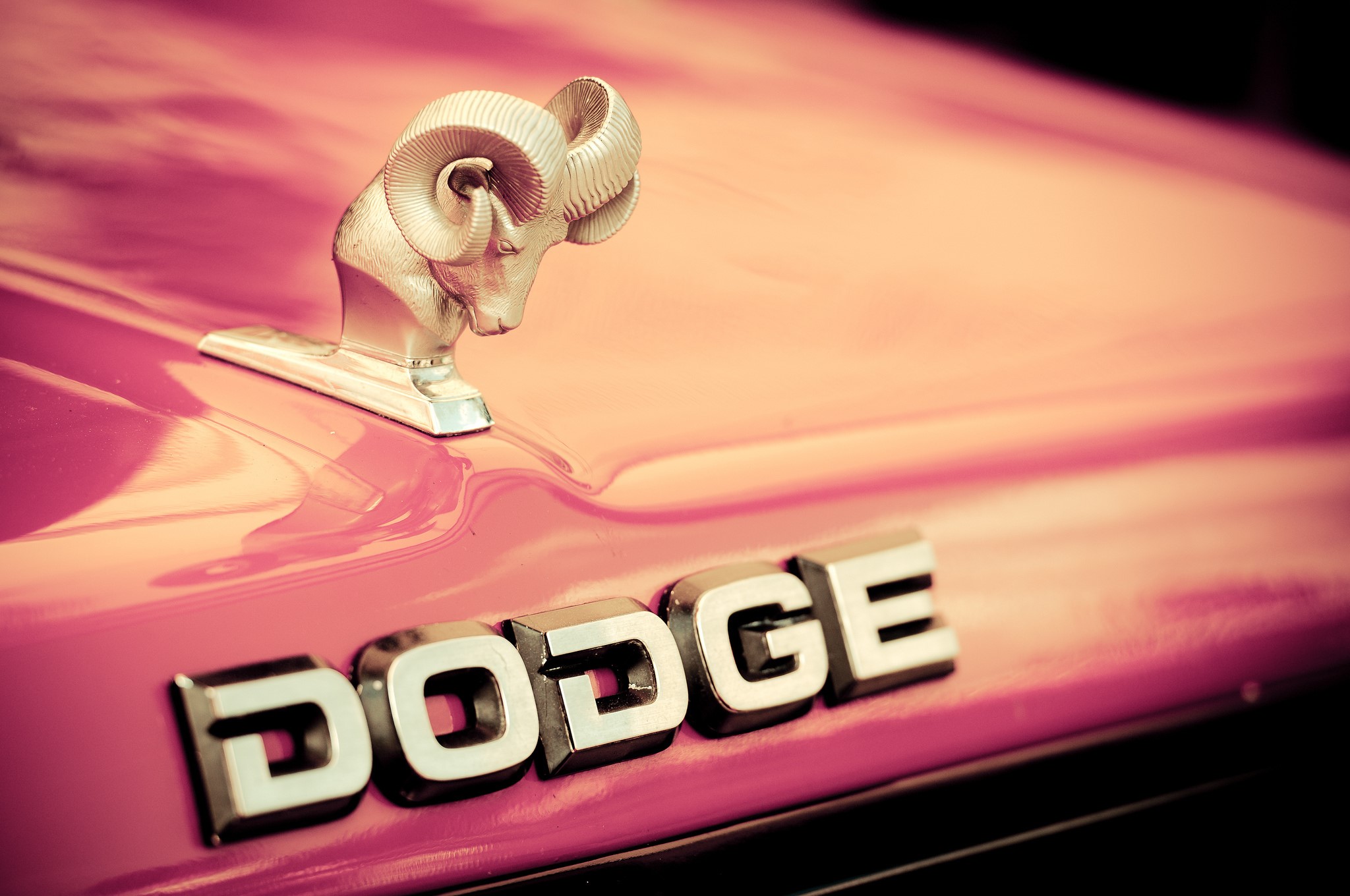 Dodge символ