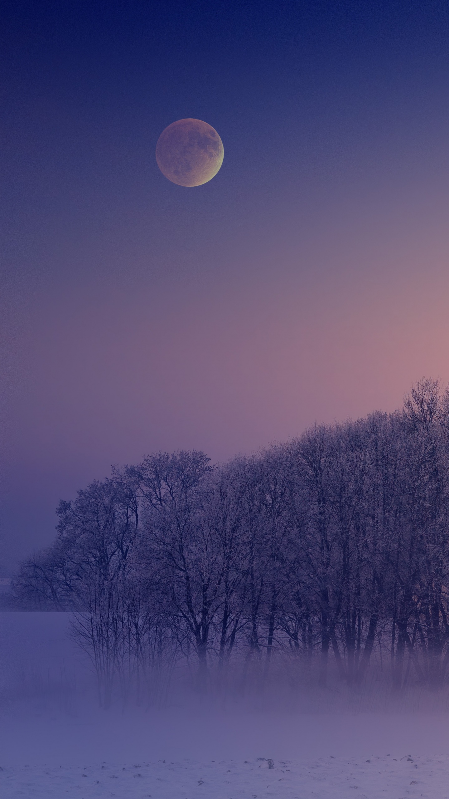 Winter Wallpaper 4K, Aesthetic, Morning, Nature