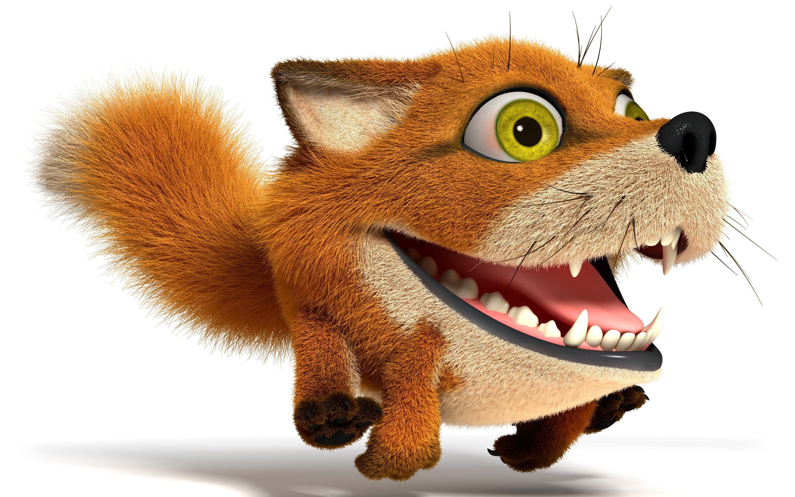 funny, Fox Wallpaper HD / Desktop and Mobile Background