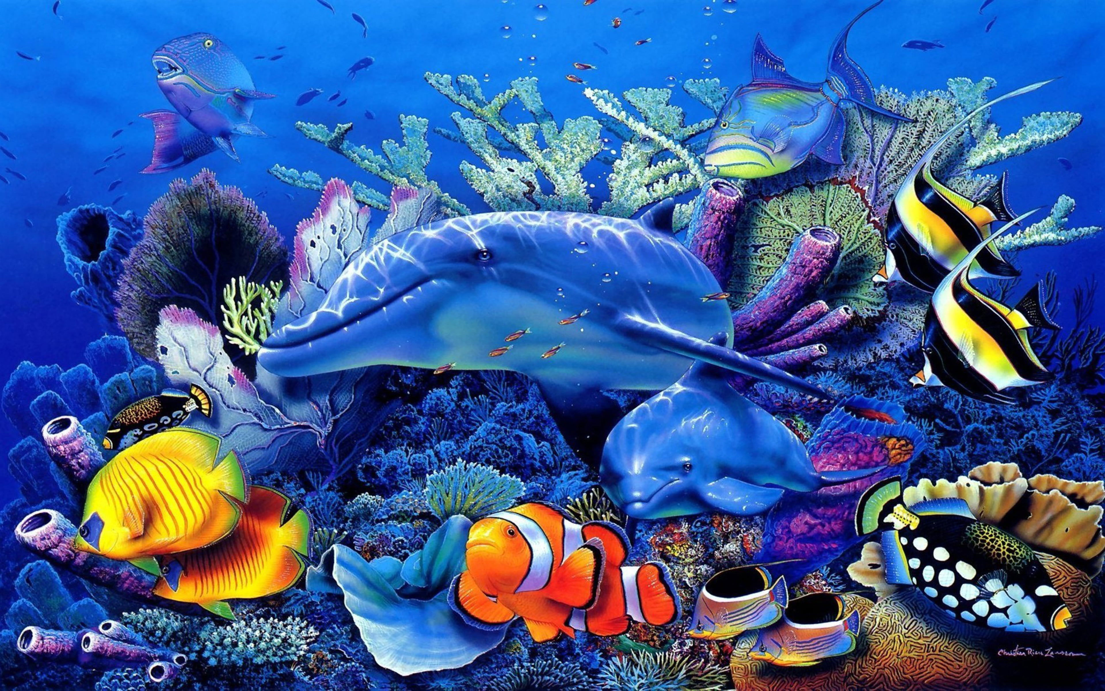 Ocean Underwater World Dolphin Coral Exotic Tropical Fish Wallpaper, Wallpaper For Cell Phone And Laptop