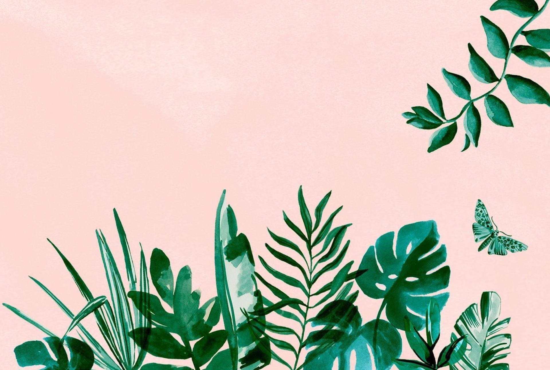 Download Cute Aesthetic Green Plants Wallpaper