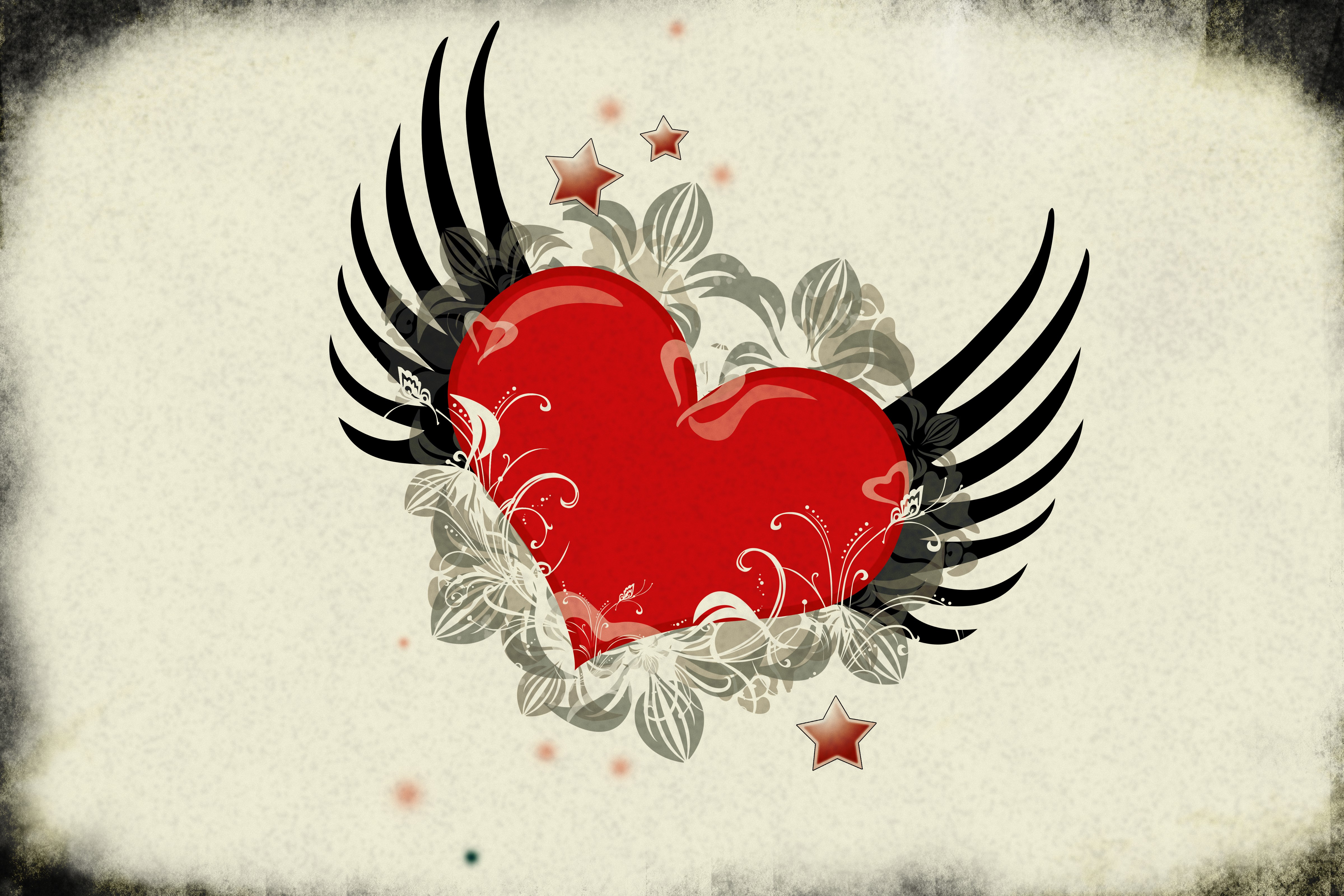 4K, Valentine's Day, Heart, Wings, Star decoration Gallery HD Wallpaper