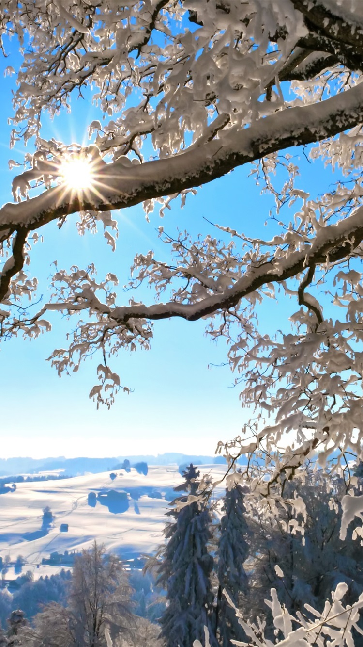 Switzerland, Winter Nature, Thick Snow, Trees, Sun Rays 750x1334 IPhone 8 7 6 6S Wallpaper, Background, Picture, Image