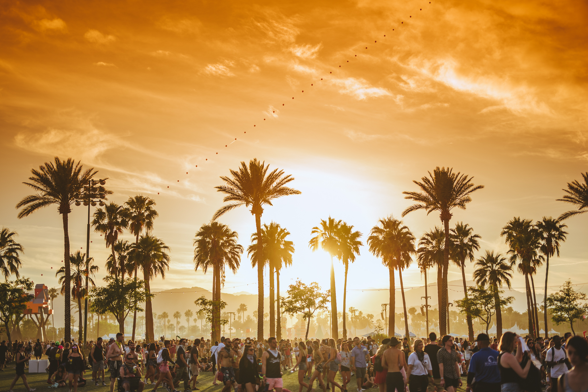 Coachella HD wallpaper  Pxfuel