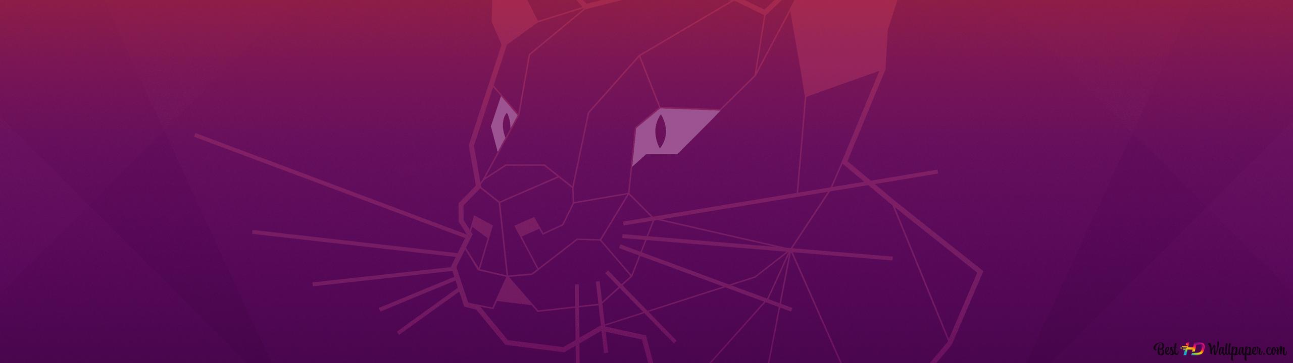 Ubuntu 20.04 without dots 4K wallpaper download