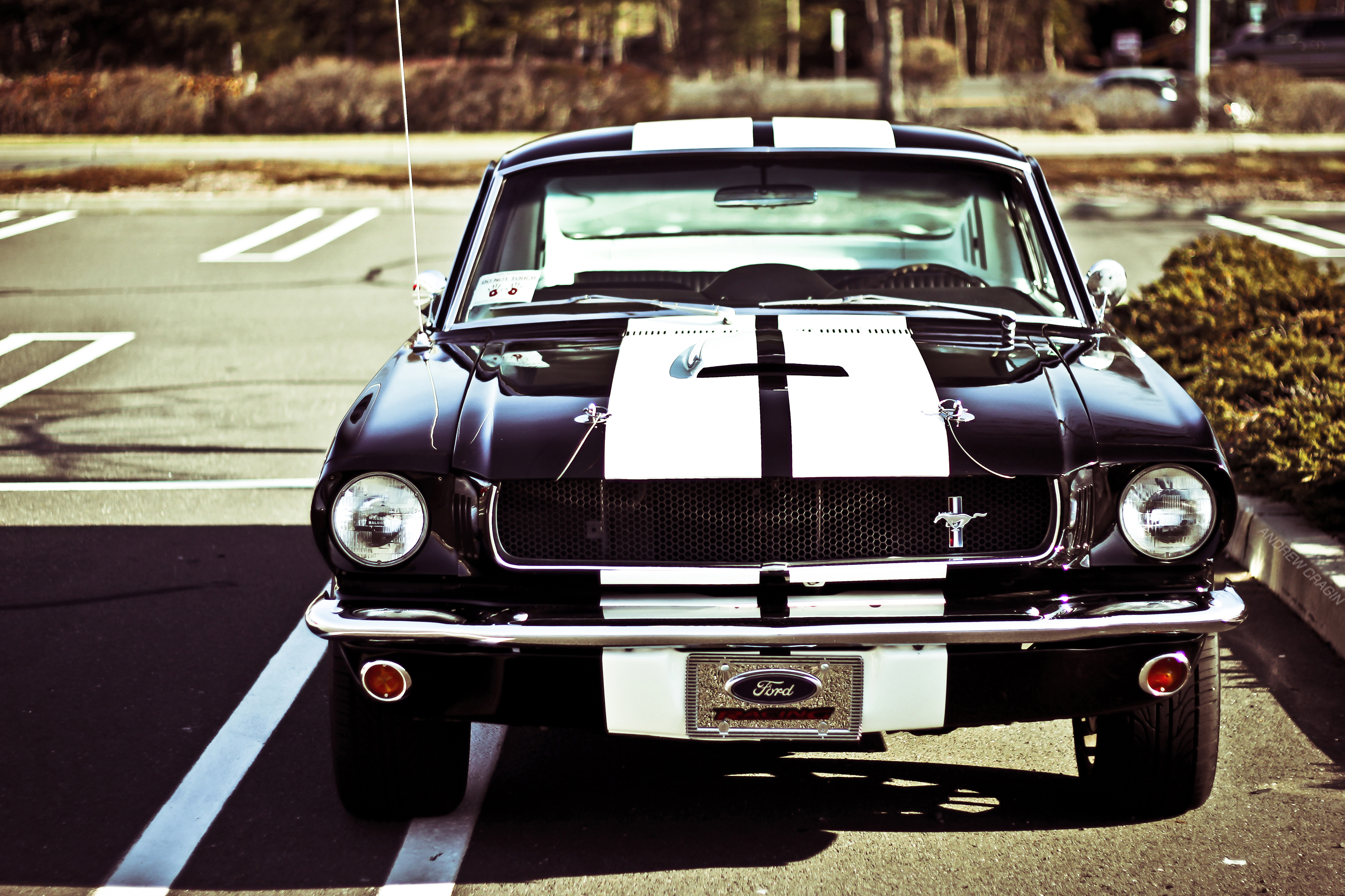 Wallpaper, motor vehicle, automotive design, classic car, automotive exterior, shelby mustang, first generation ford mustang, hood 3872x2581