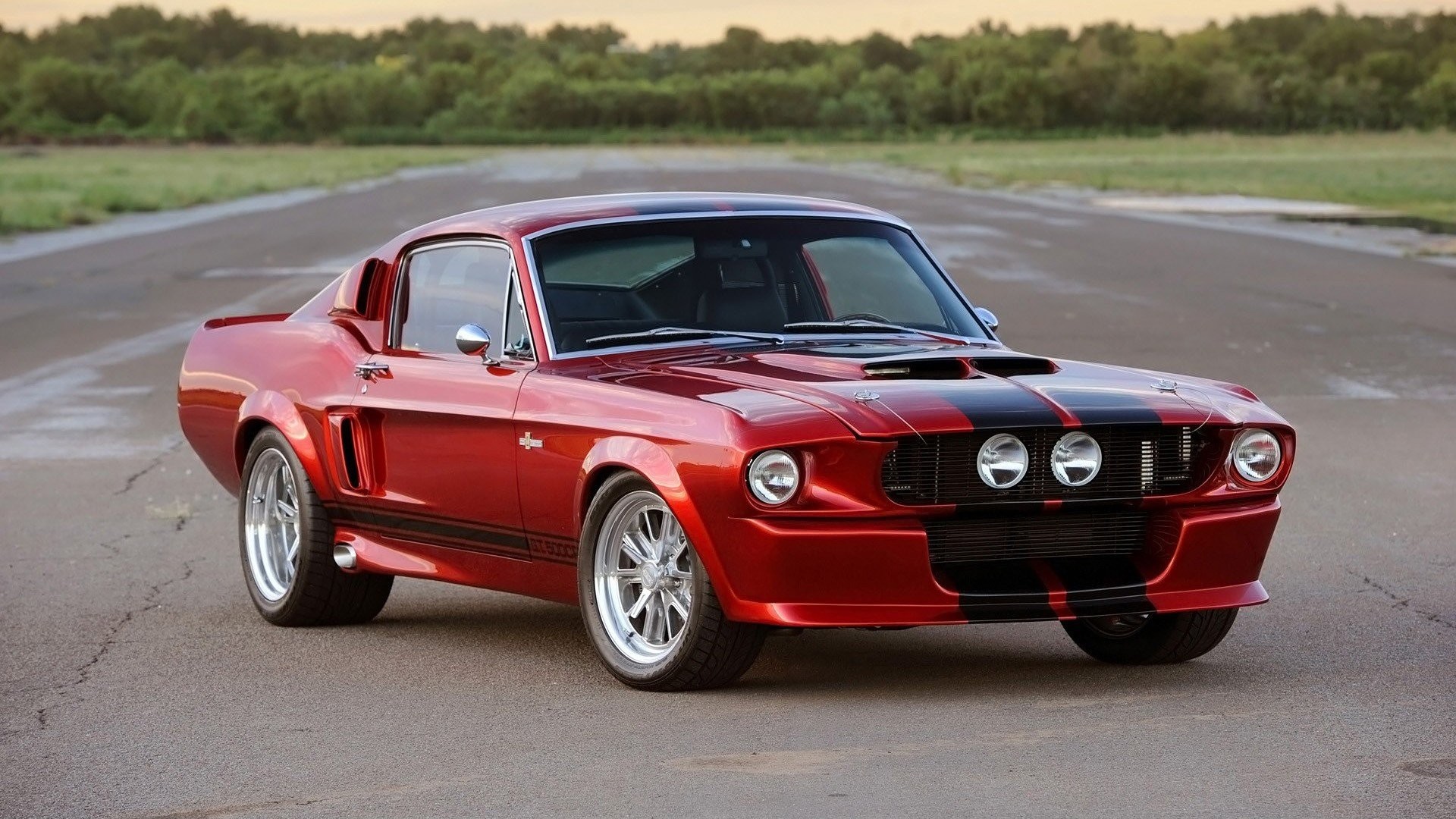 Shelby Mustang Wallpaper Cars Muscle