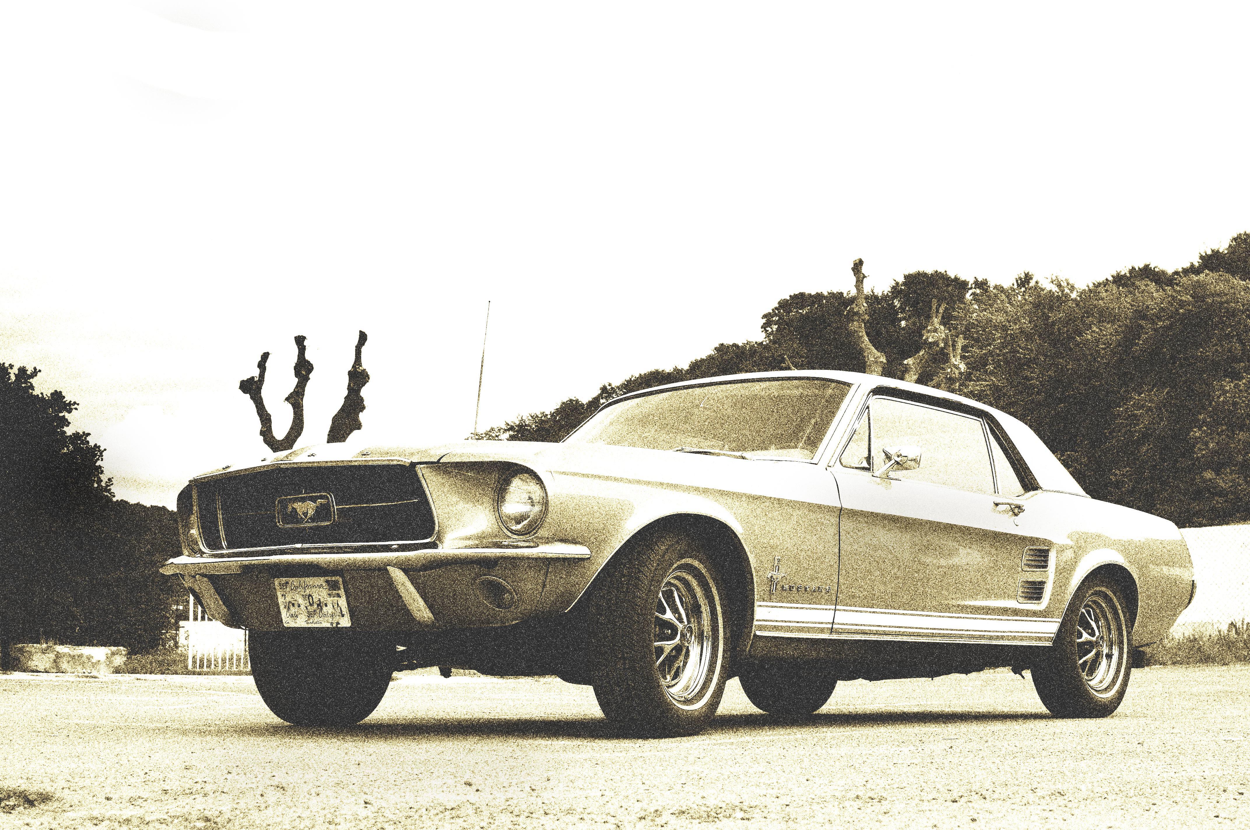 Wallpaper, Ford, classic car, coupe, performance car, 1960, 1970, Mustang, bw, noiretblanc, nb, land vehicle, automotive design, automotive exterior, bumper, motor vehicle, muscle car, first generation ford mustang 4288x2848 - Wallpaper