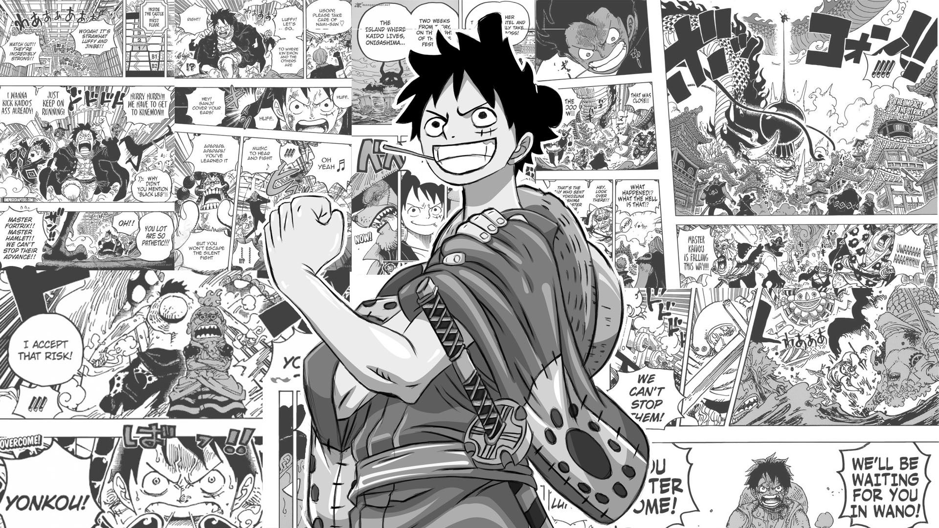 One Piece Manga Wallpapers on WallpaperDog