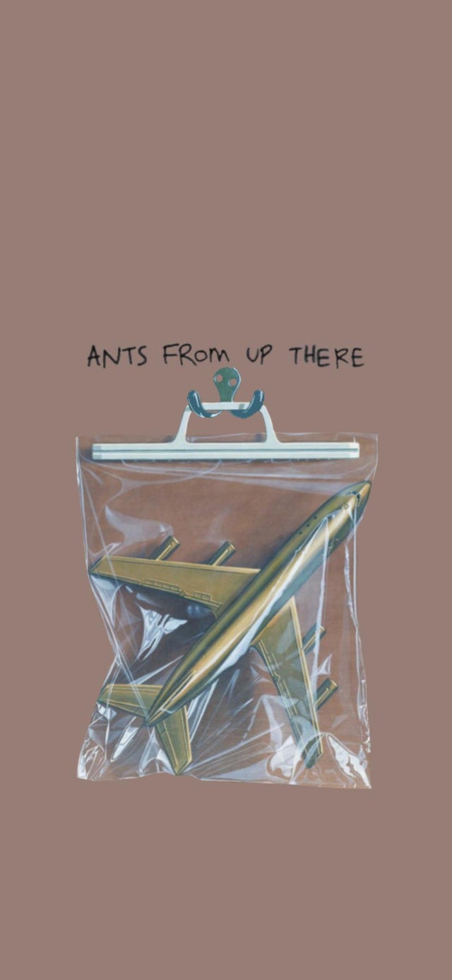 Ants from Up There” by Black Country New Road wallpaper for iPhone and Android