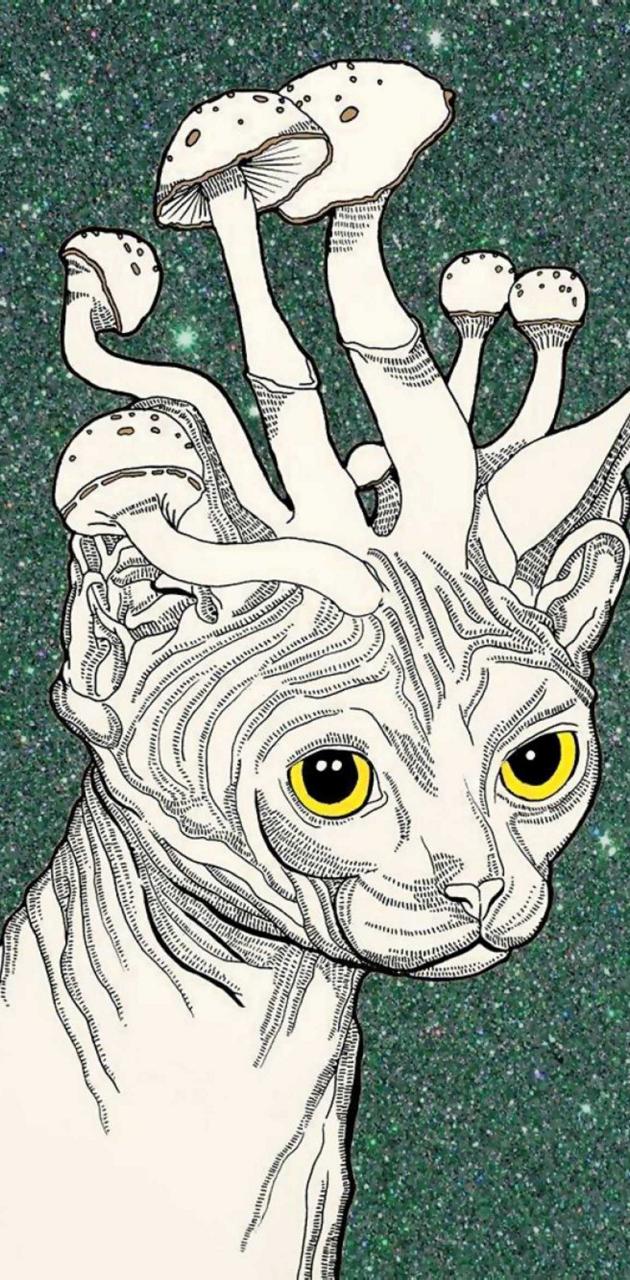 Mushroom cat wallpaper