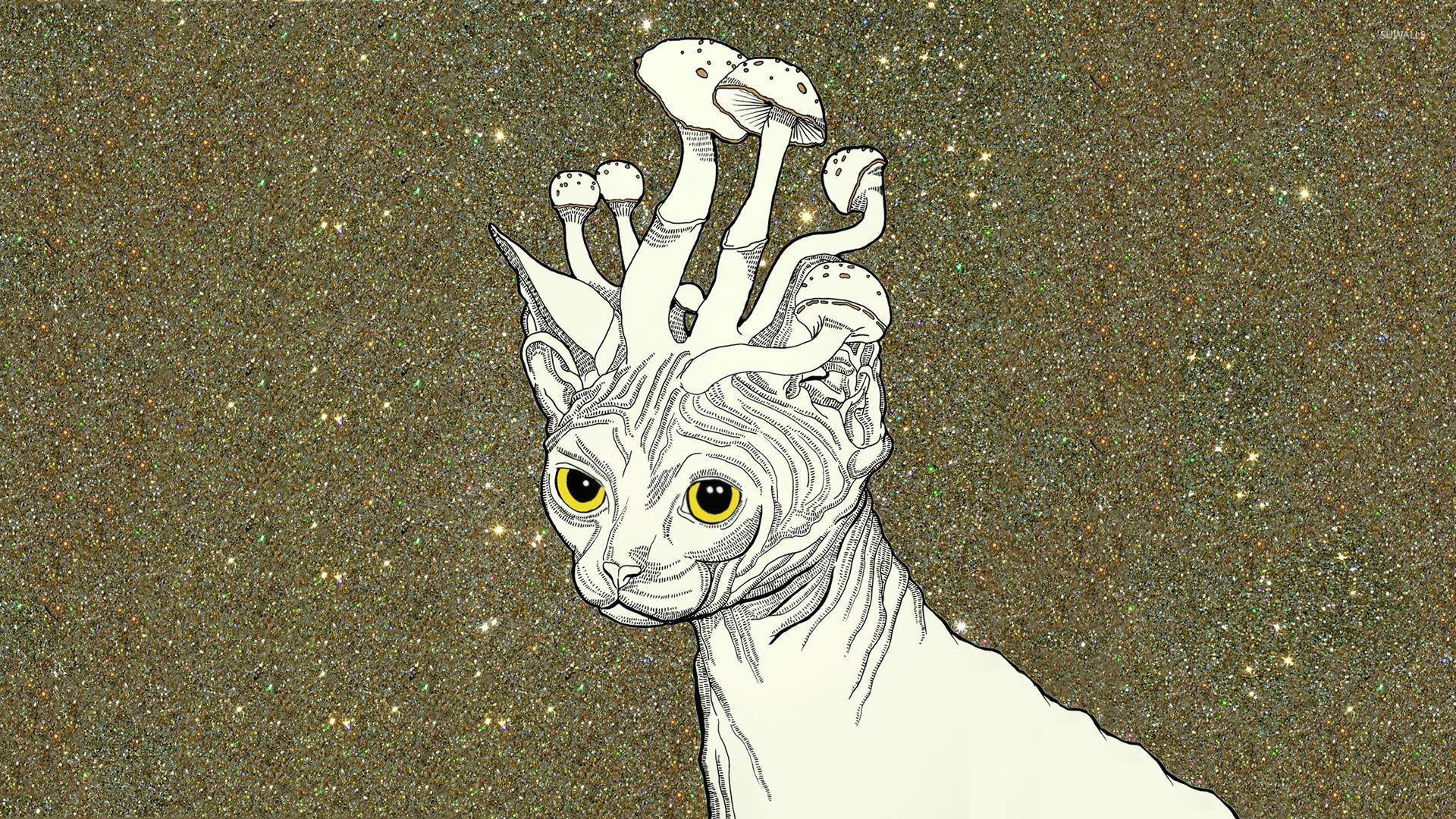 Mushroom headed cat wallpaper wallpaper