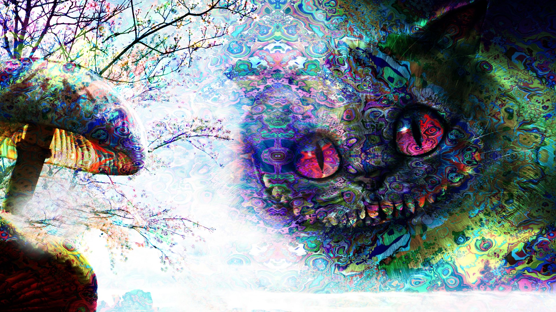 Wallpaper / psychedelic, trippy, Alice in Wonderland, Cheshire Cat, mushroom, Alice: Madness Returns free download