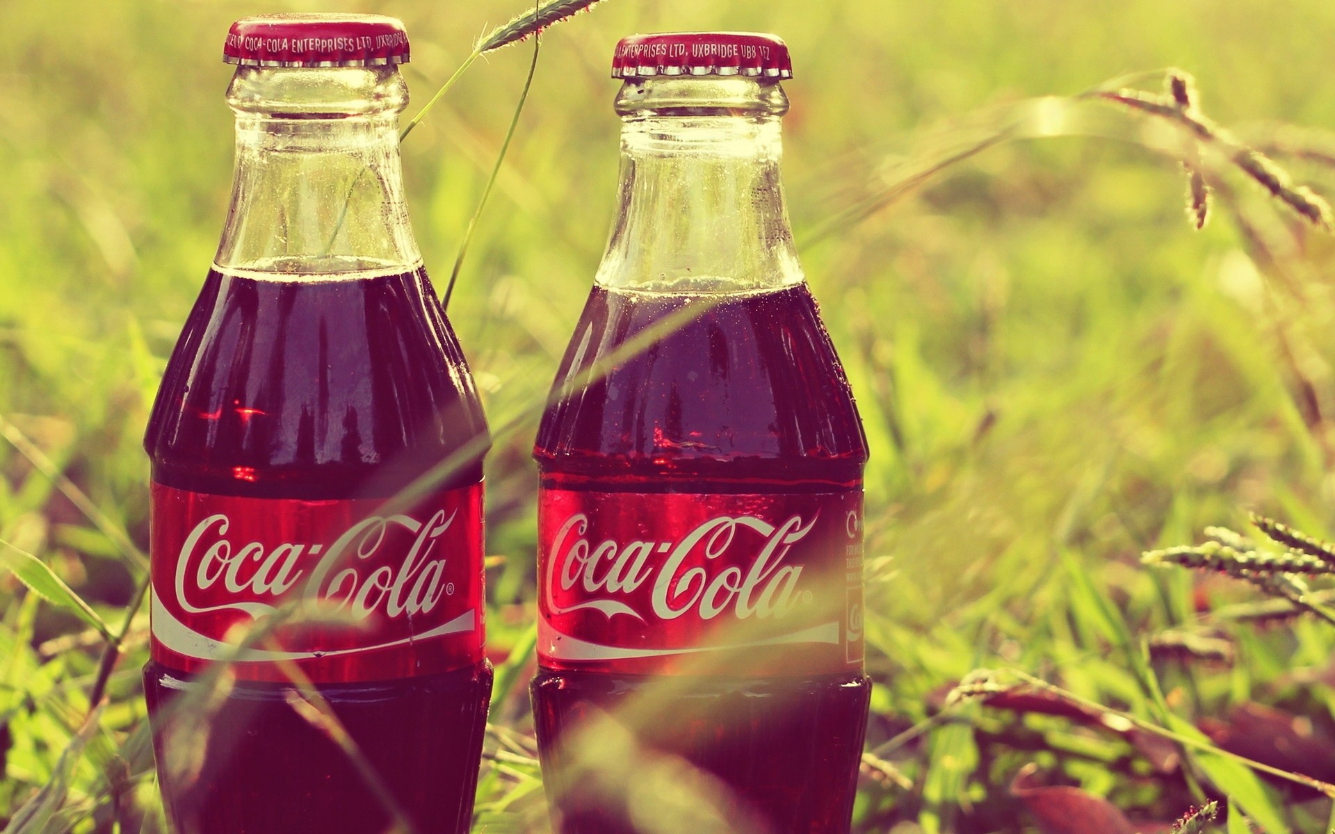 Coke Bottles in the Grass desktop PC and Mac wallpaper