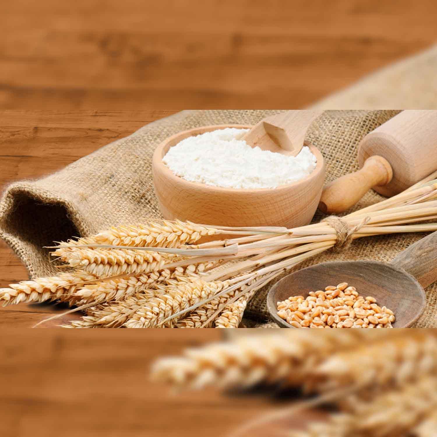 Parle Chakki Atta, Wheat Flour Biscuits, 5 Kg: Buy Online at Best Price in UAE