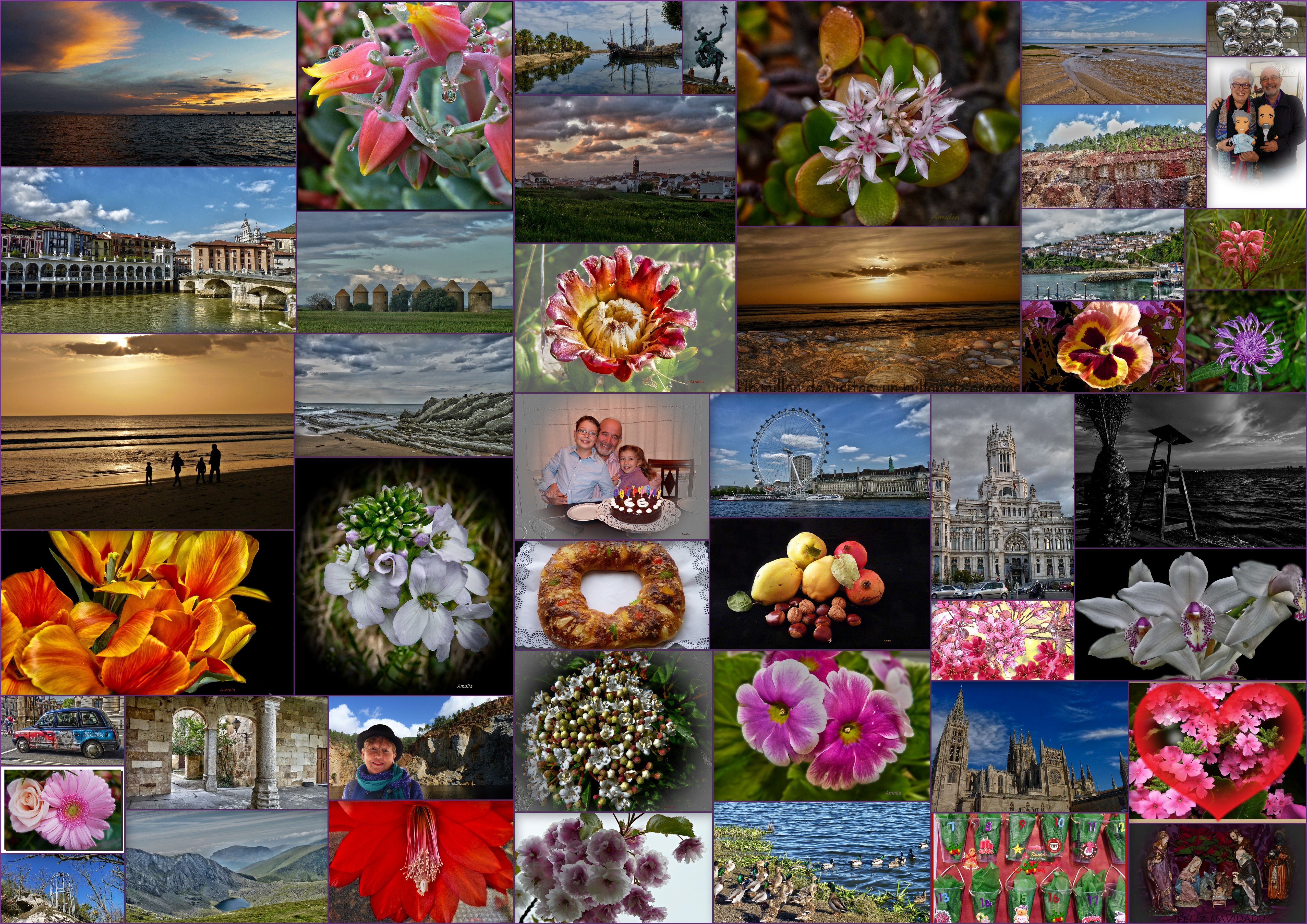 Wallpaper, collage, spring, ART, plant, flora, petal, tradition, computer wallpaper, floristry, photomontage, flower arranging, floral design, roscondereyes, floresymas, amigosdeflickr, viajeainglaterra, resumena o2014, calendariodeadviento2014
