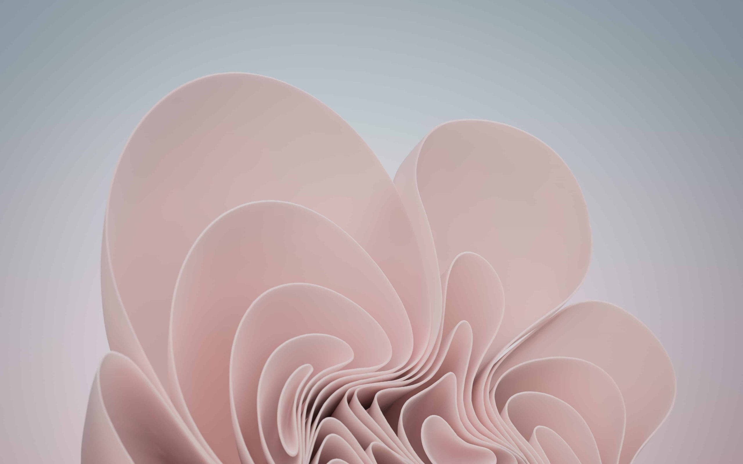 Download Windows 11 Pink Aesthetic Bloom Wallpaper