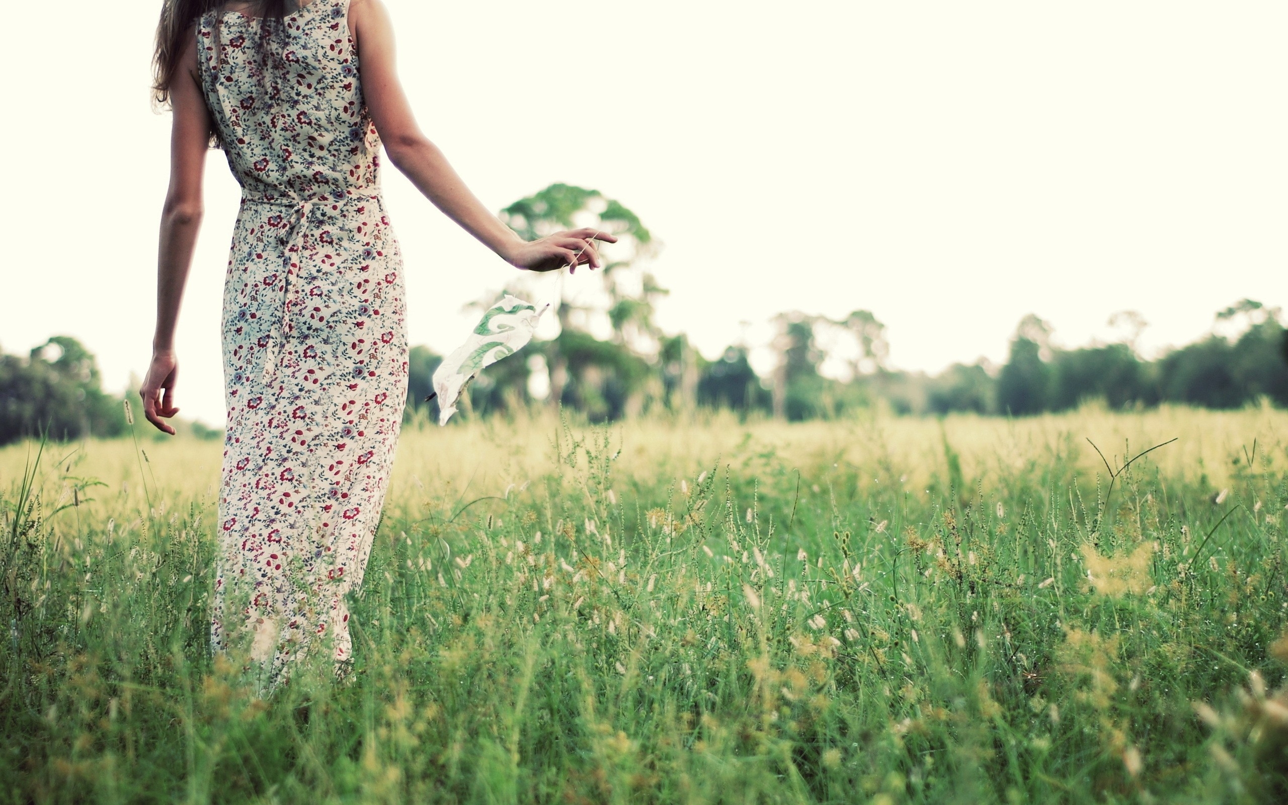 Wallpaper, field, dress, green, spring, walk, flower, grassland, girl, meadow, lawn, grass family 2560x1600