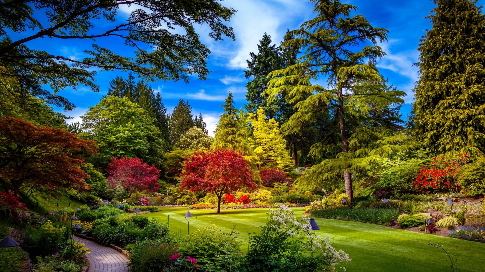 Wallpaper / grass, beautiful, spring, park, trees, freshness, alleys, flowers, garden, walk free download