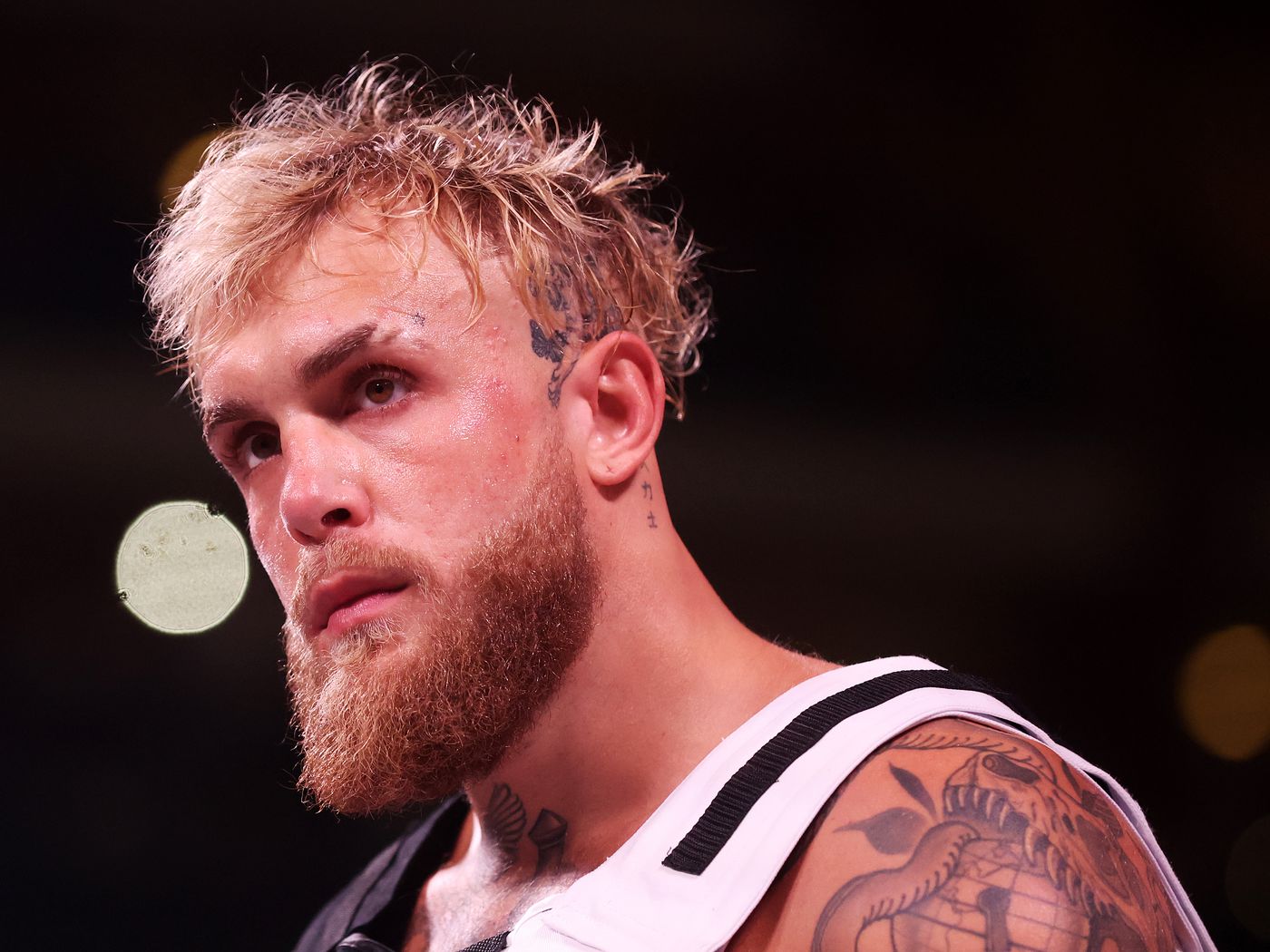 Jake Paul vs. Tommy Fury targeted for Feb. 25