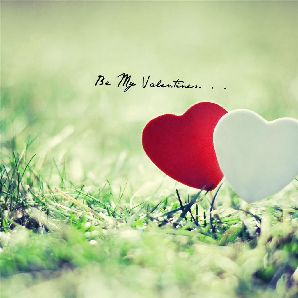 Be My Valentine Hearts Grass iPad Air Wallpaper Free Download