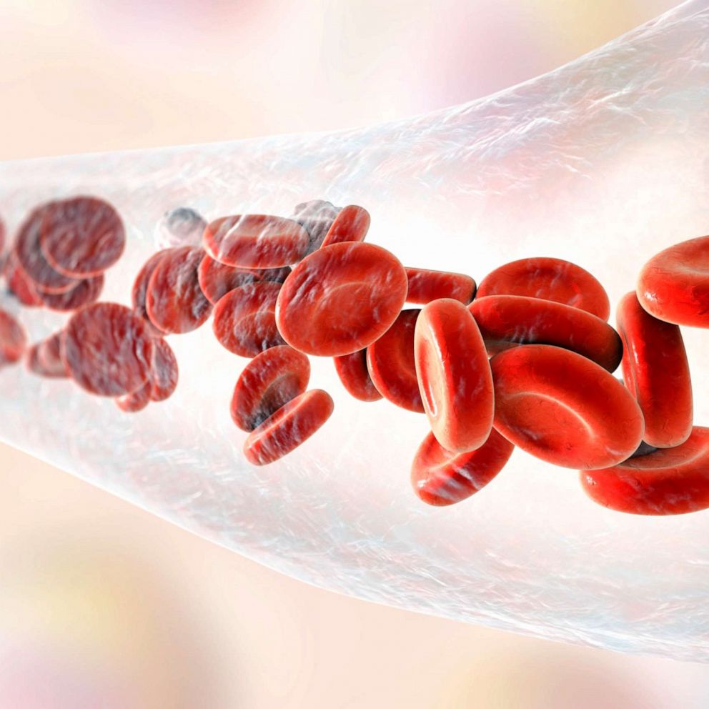 Test tube blood vessels coming alive: Study