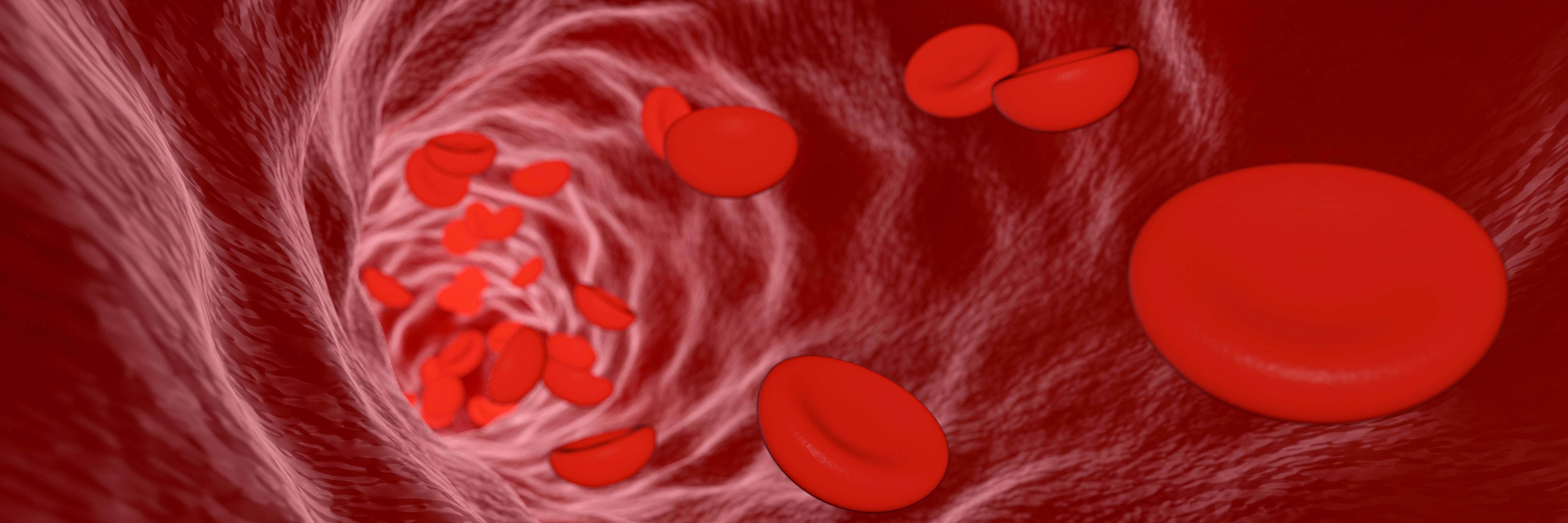 Red blood cells moving in blood vessel. 3D rendering. use for background and wallpaper