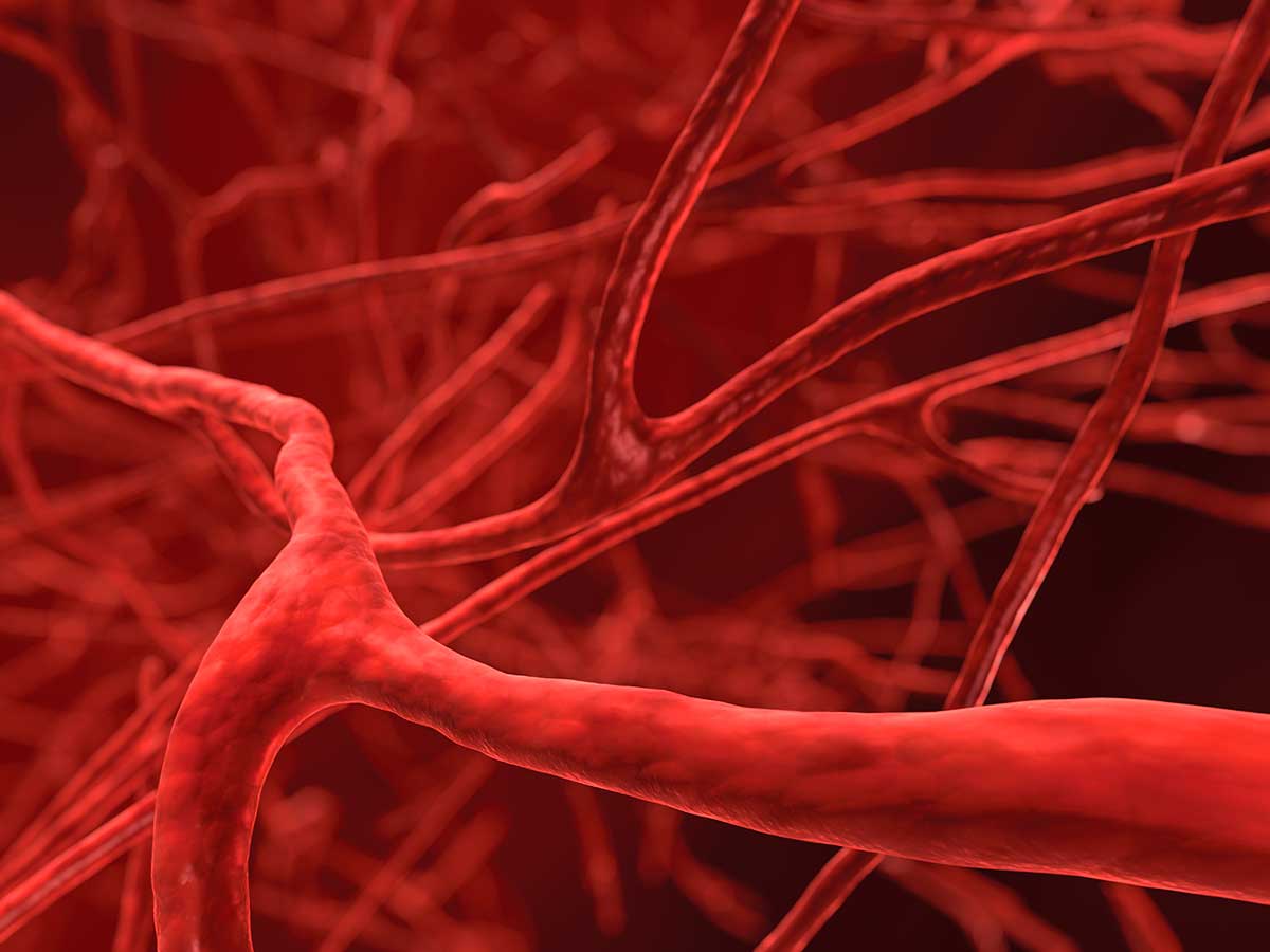 Magnetically Guided Gene Therapy Heals Blood Vessels