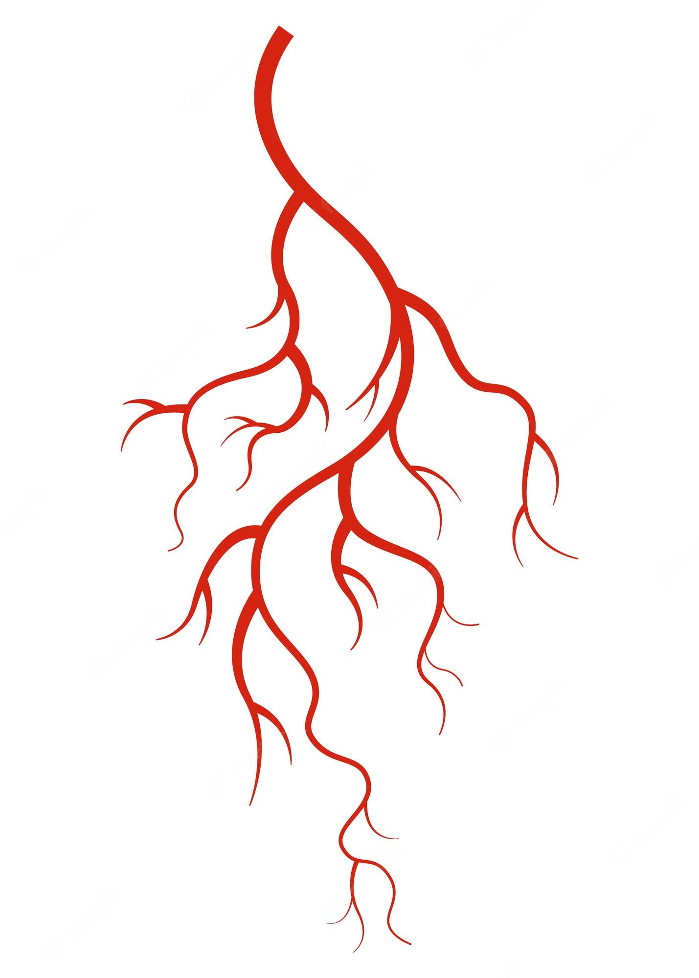 Blood vein Image. Free Vectors, & PSD