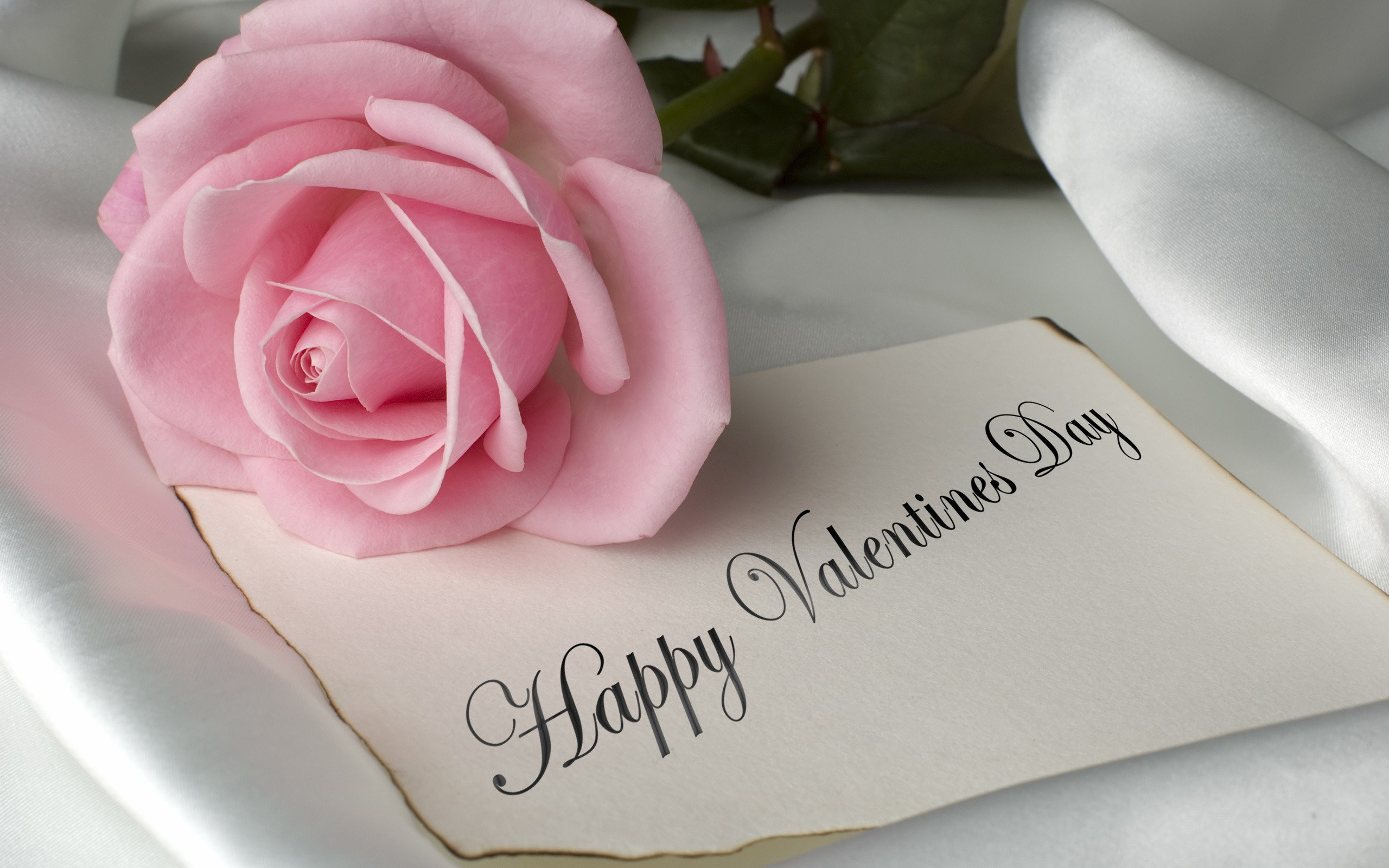 Happy Valentine's Day HD Wallpaper and Background